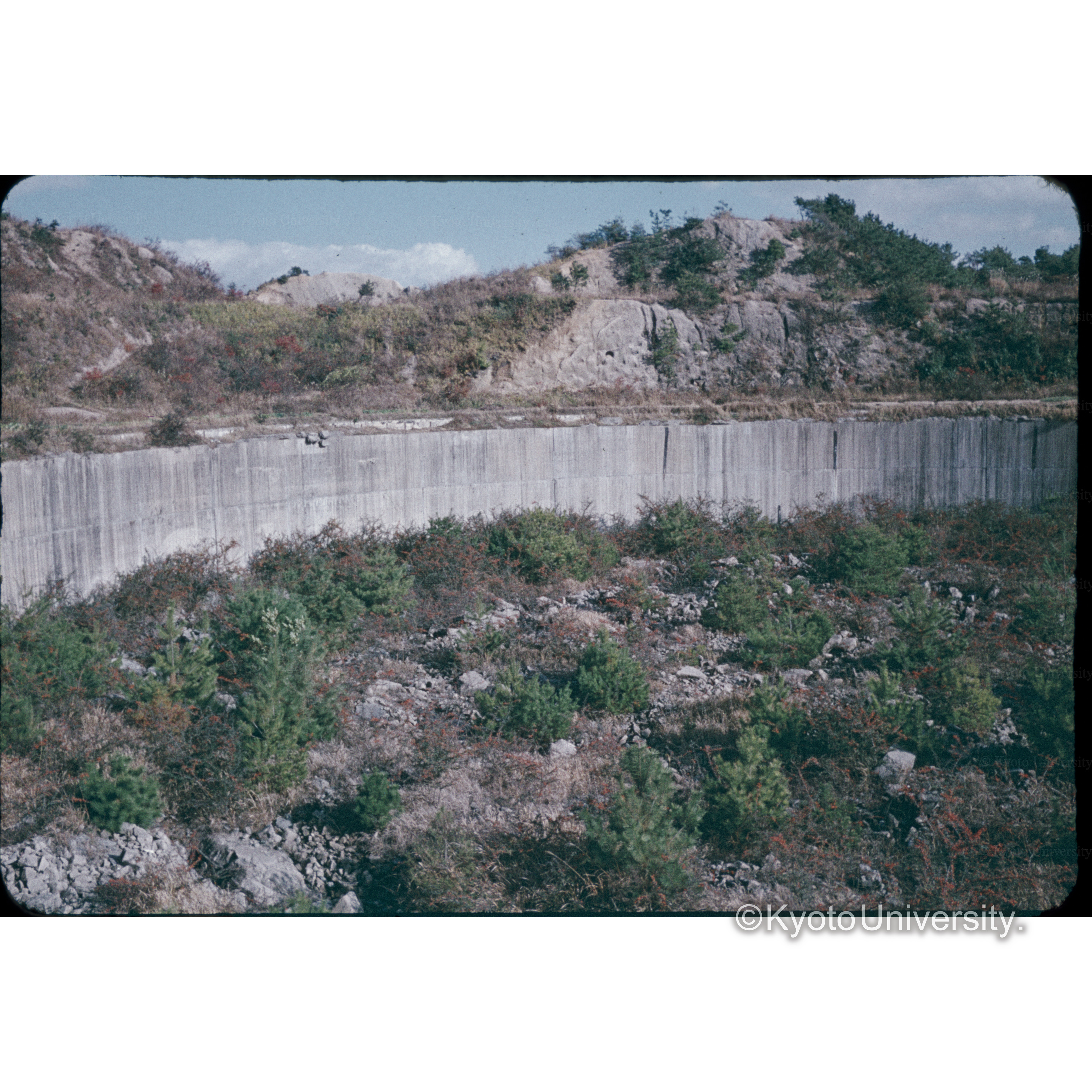 □山□□□□□地 (1)