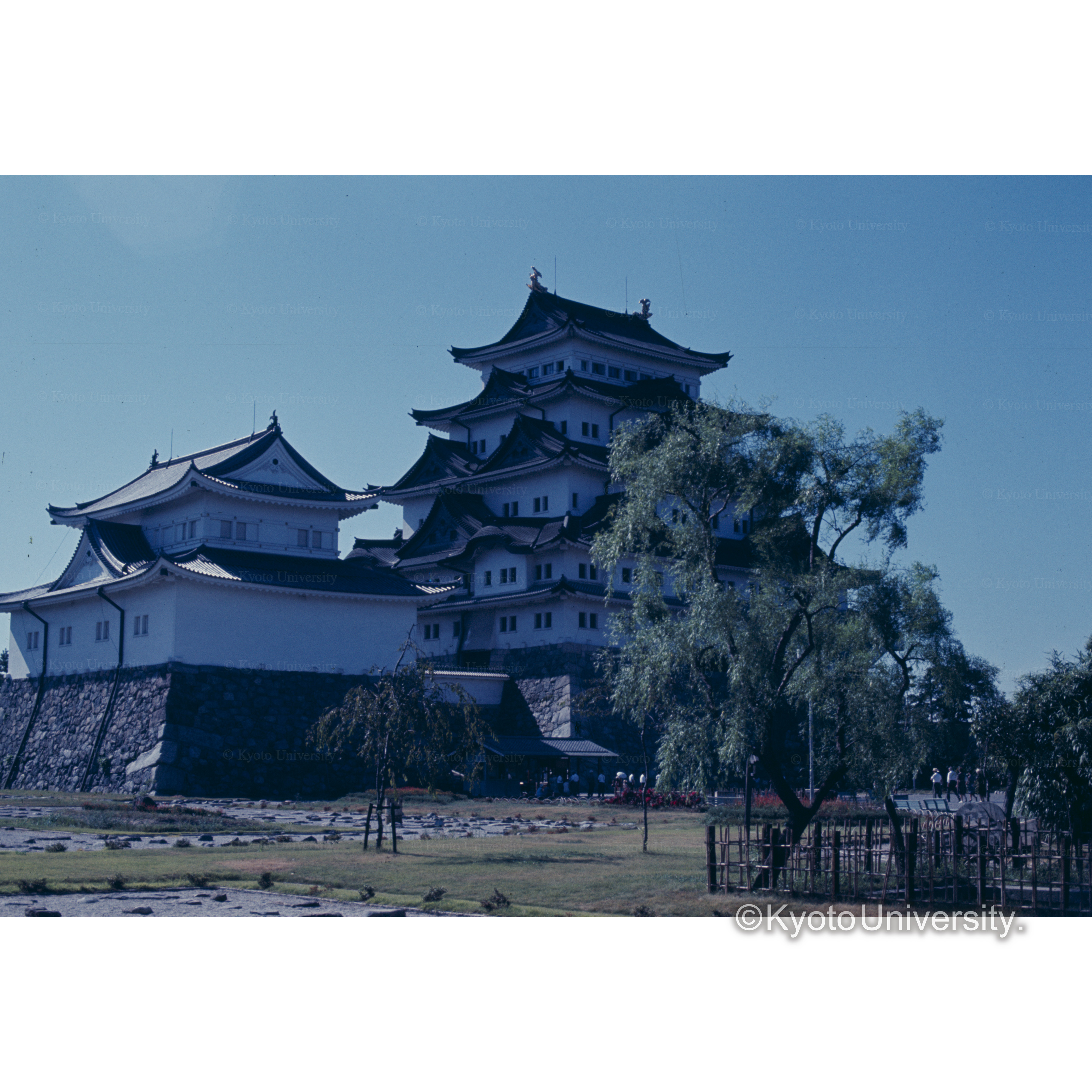 名古屋城 〔城〕 (1)