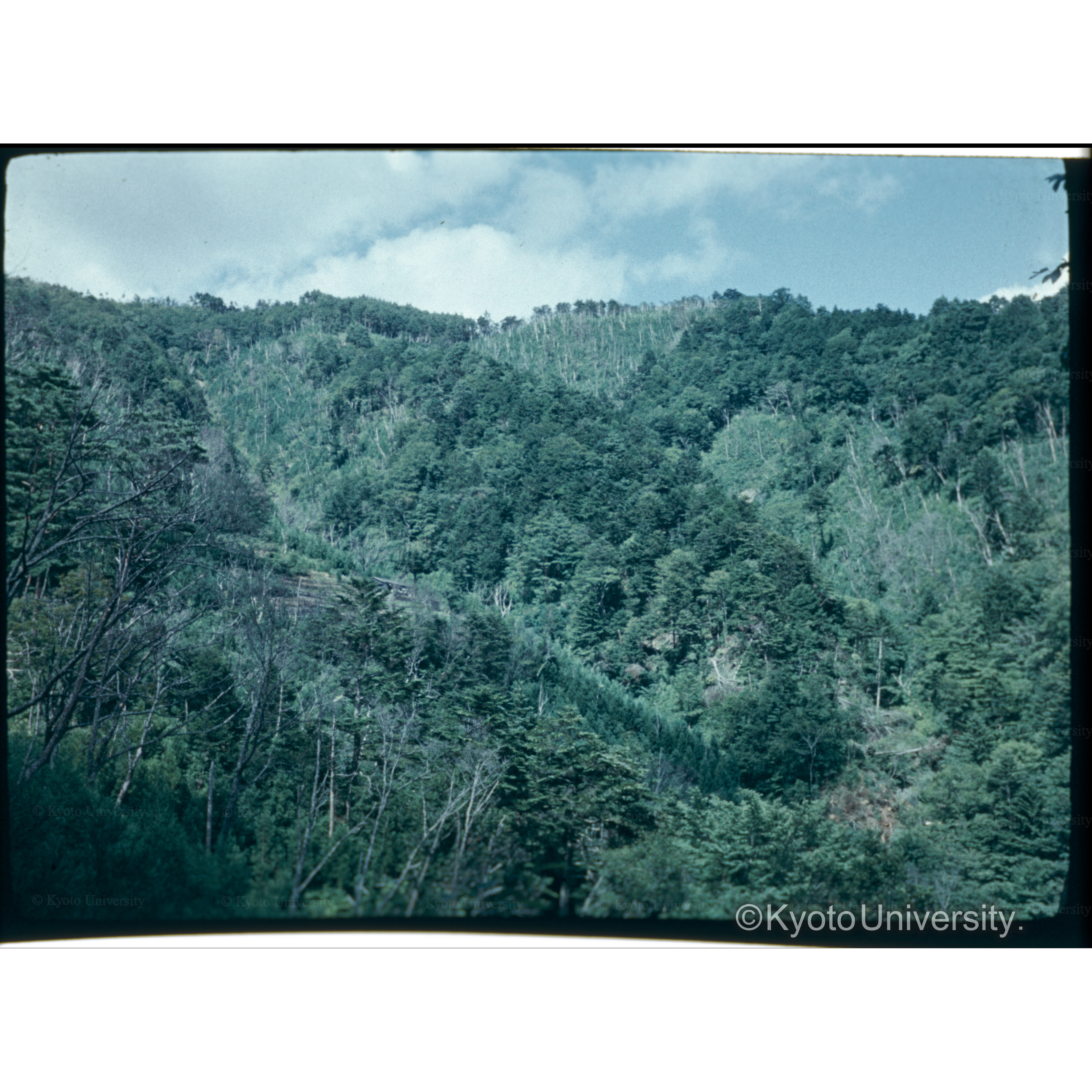 和歌山演習林 (1)