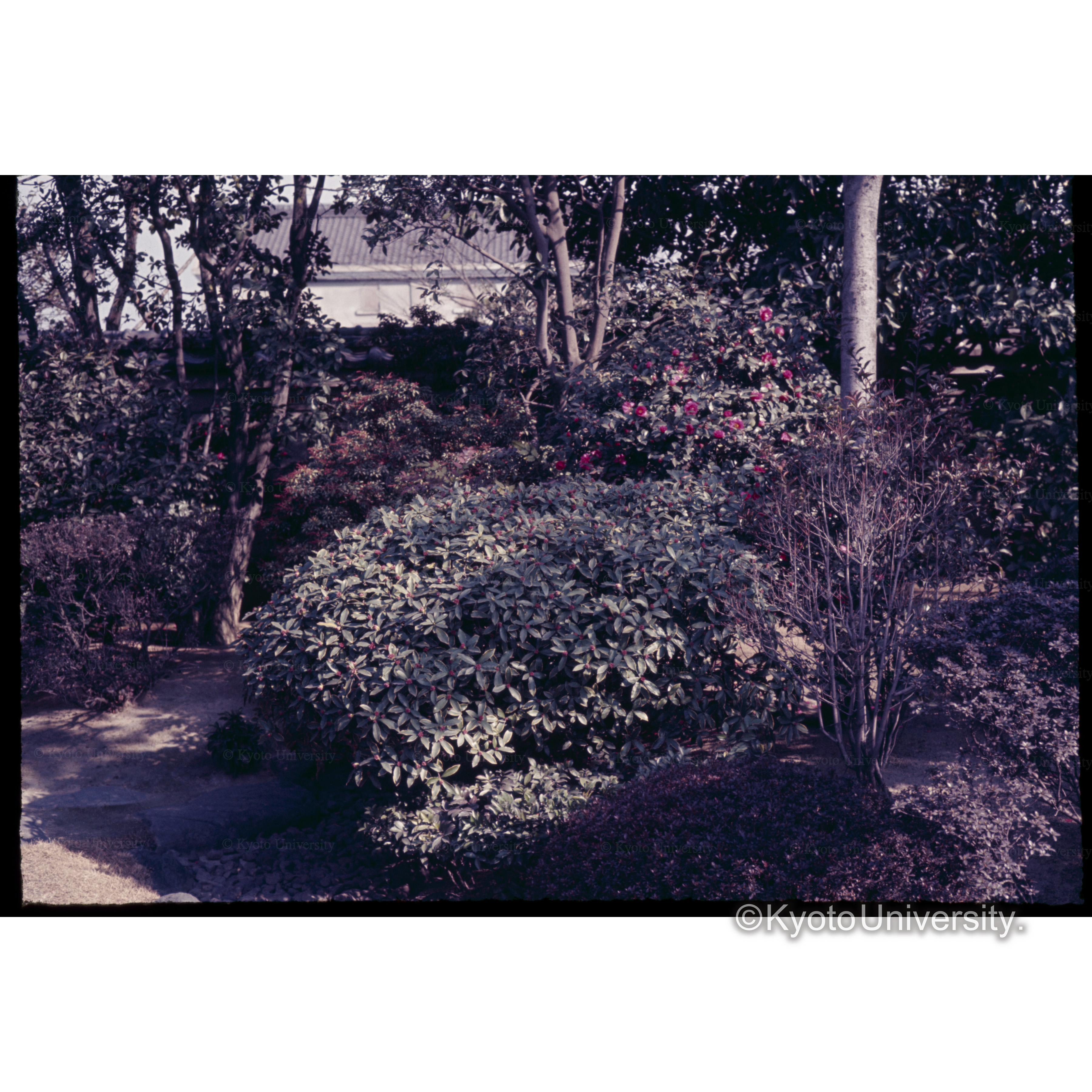 大阪市長公館. (1)