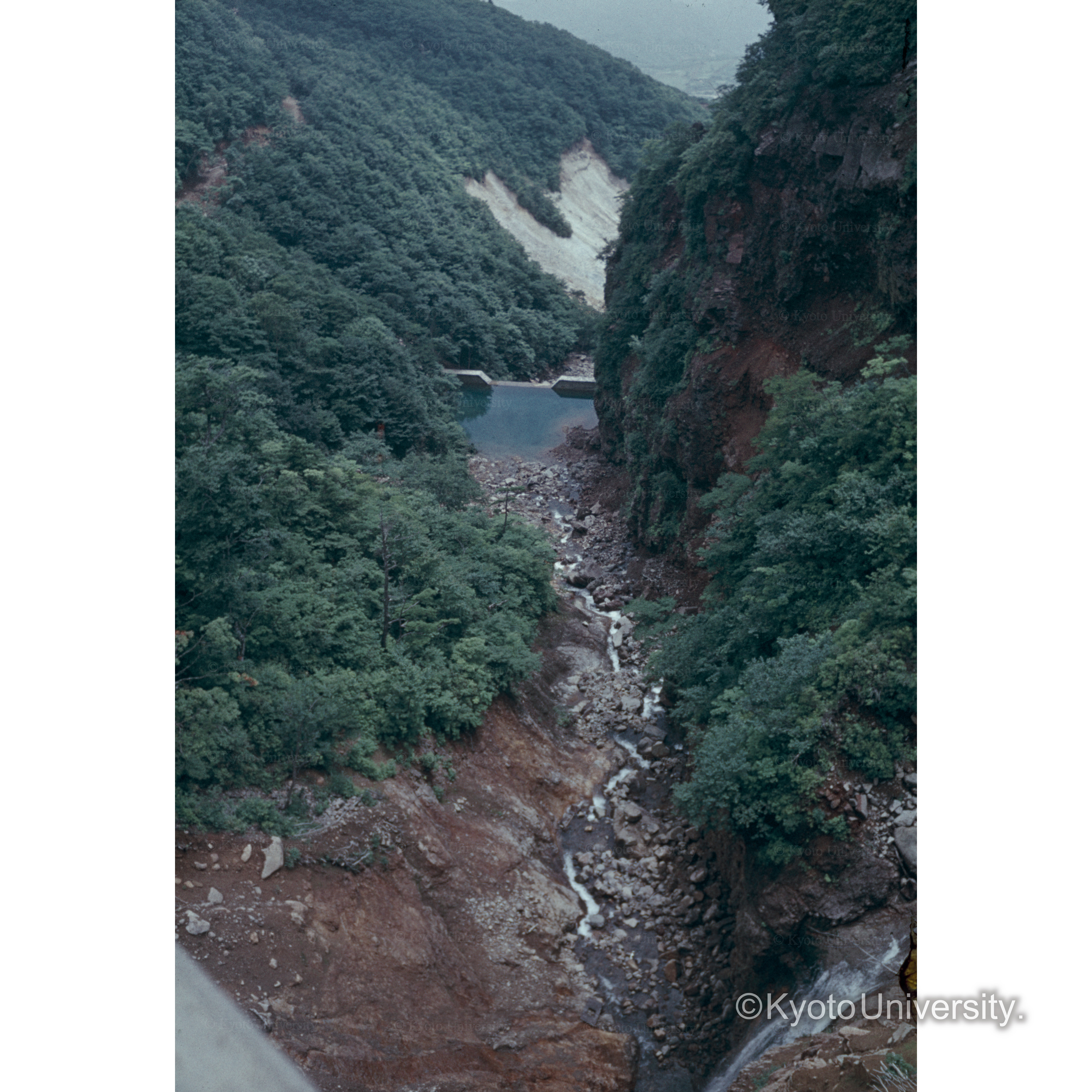 裏バンダイのダム (1)