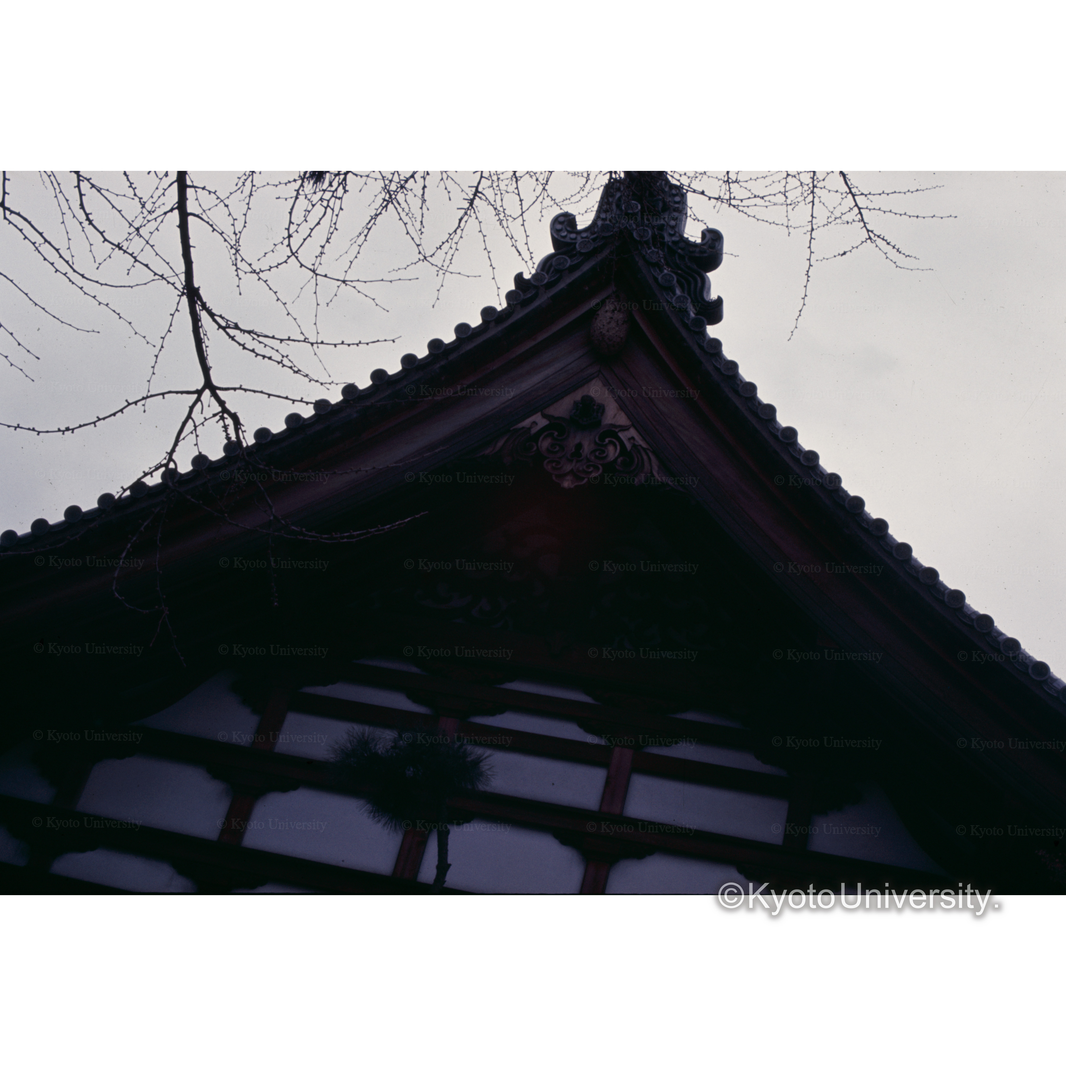 虎渓山永保寺 (1)