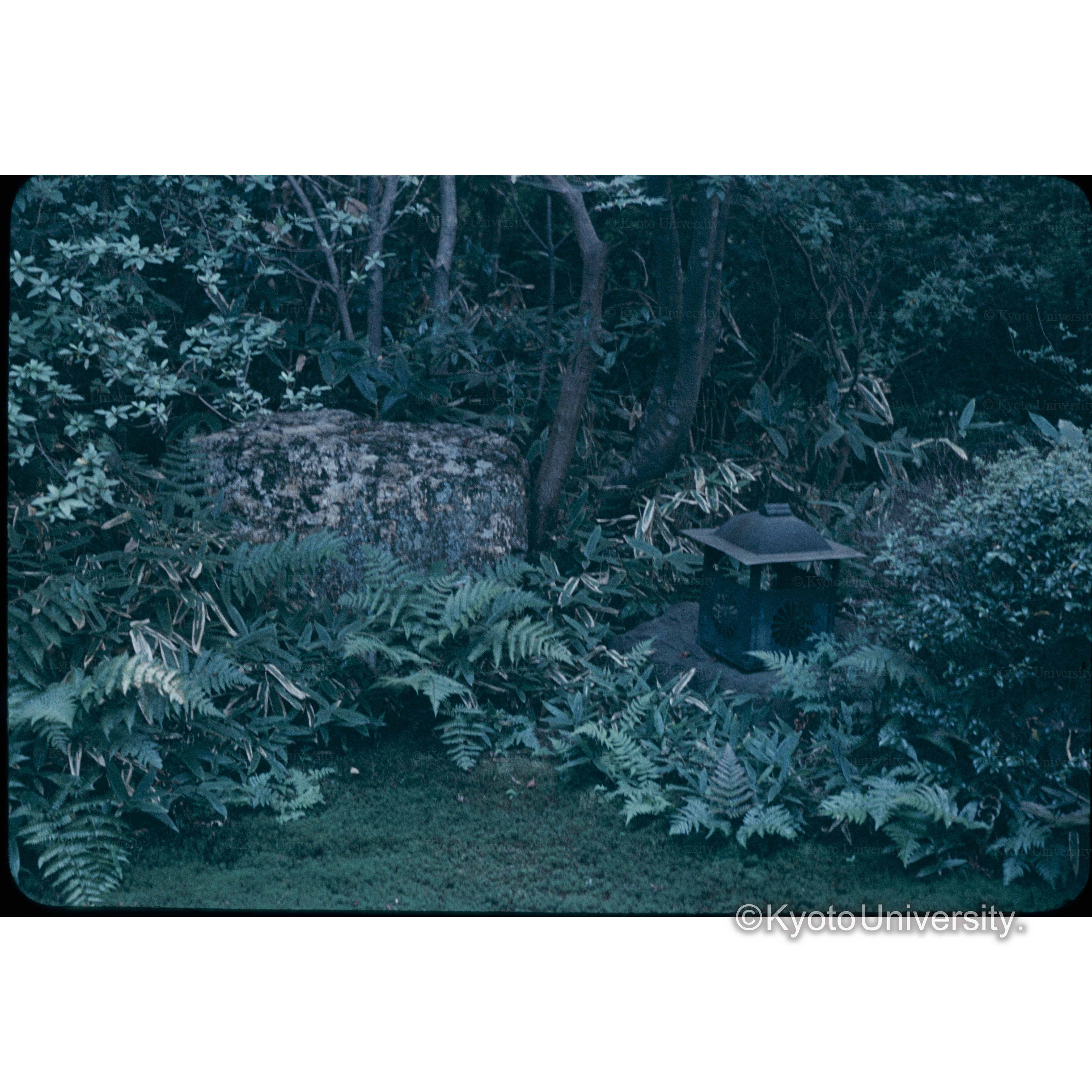 泉涌寺(大石の□□寺) (1)