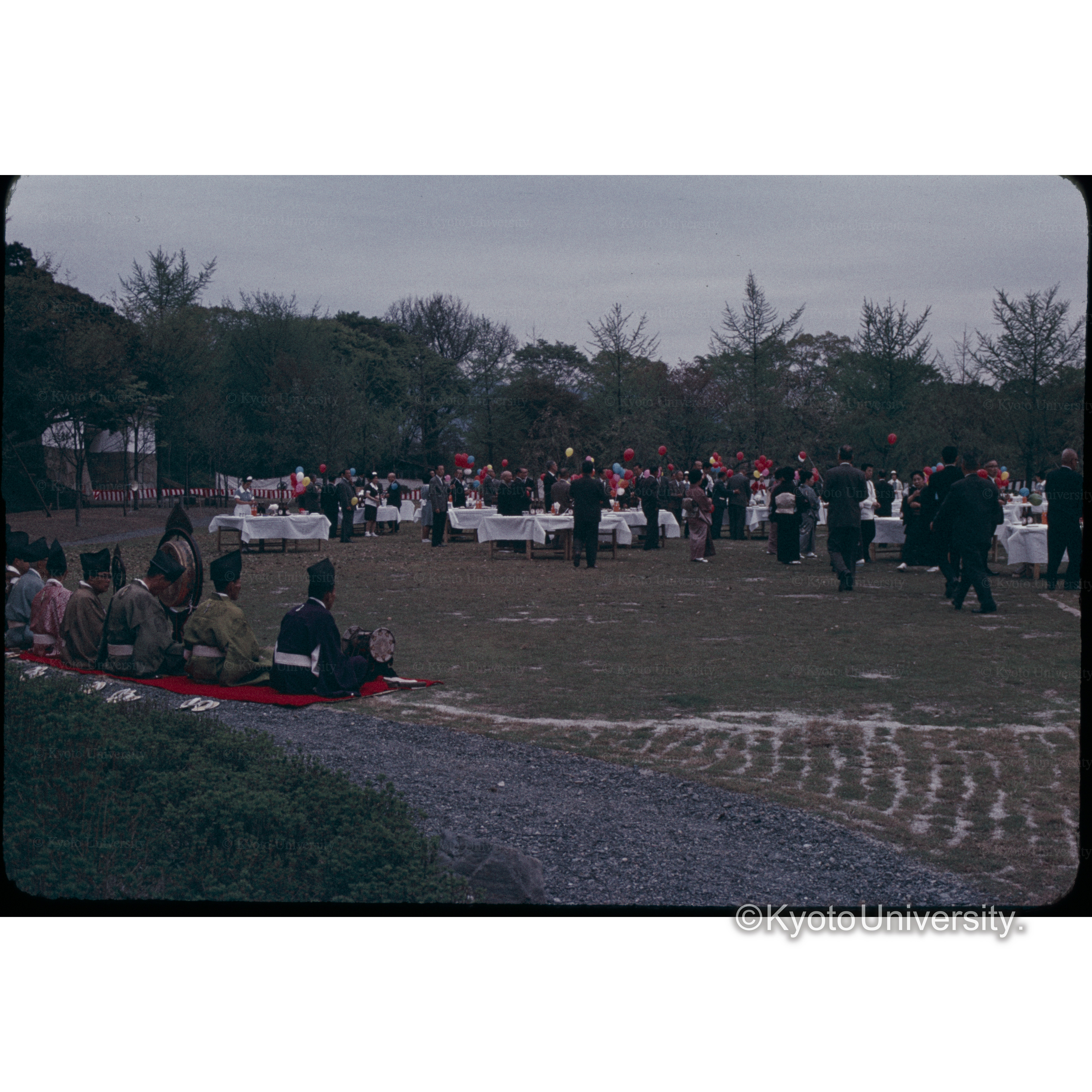 二条リ宮開園 (1)