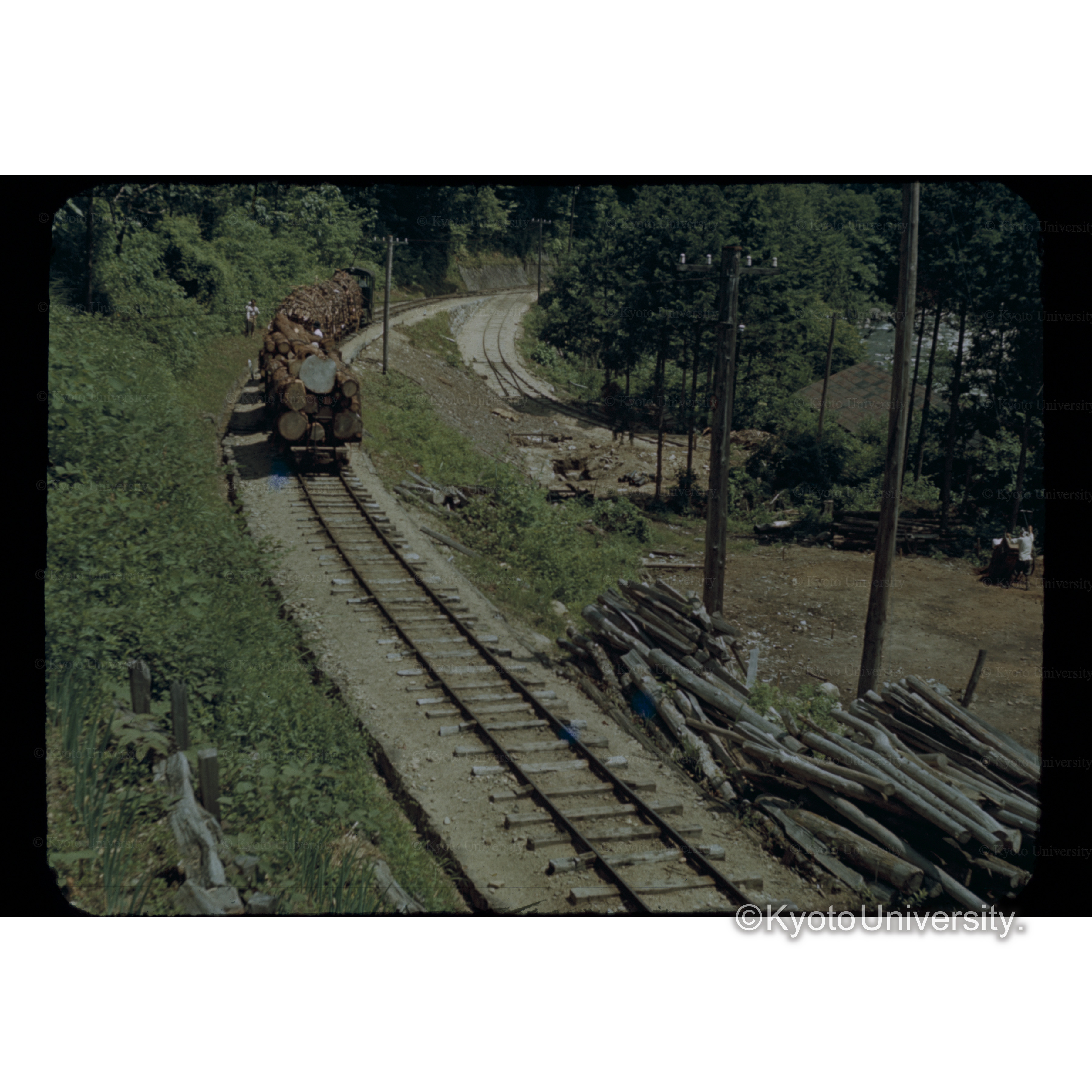 木□の□林鉄道 (1)