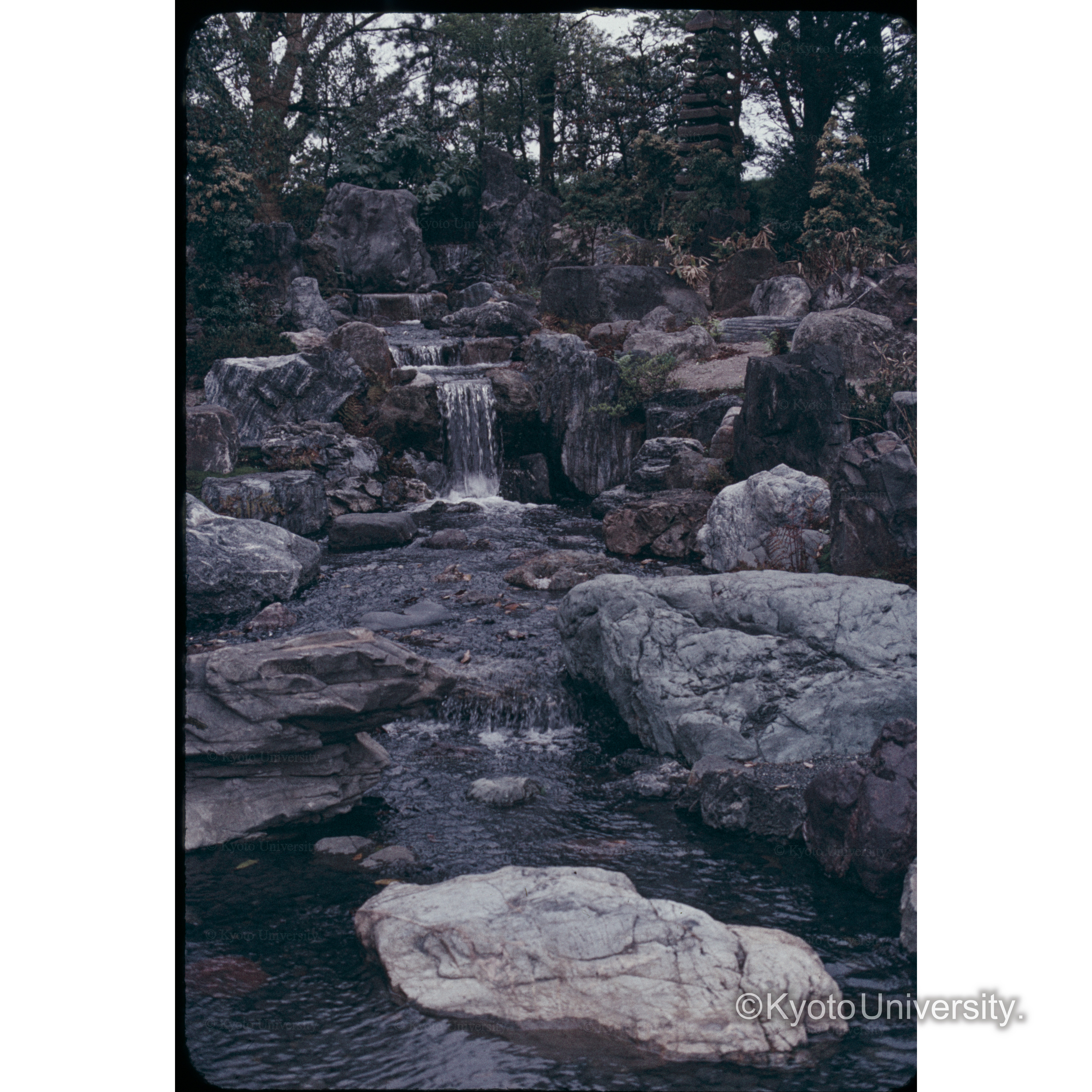 二条リ宮新庭園 (1)