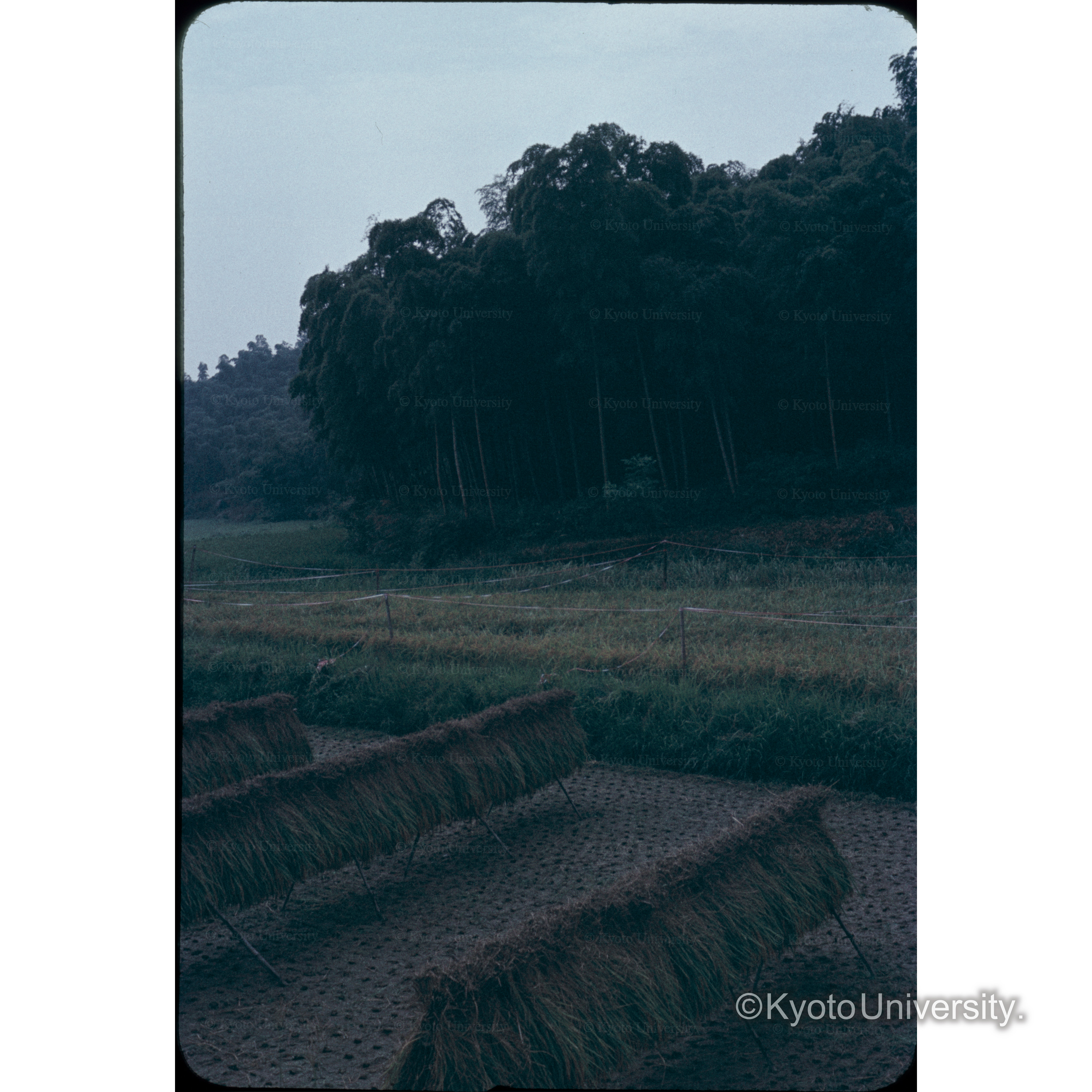 国道9号線（京都） (1)