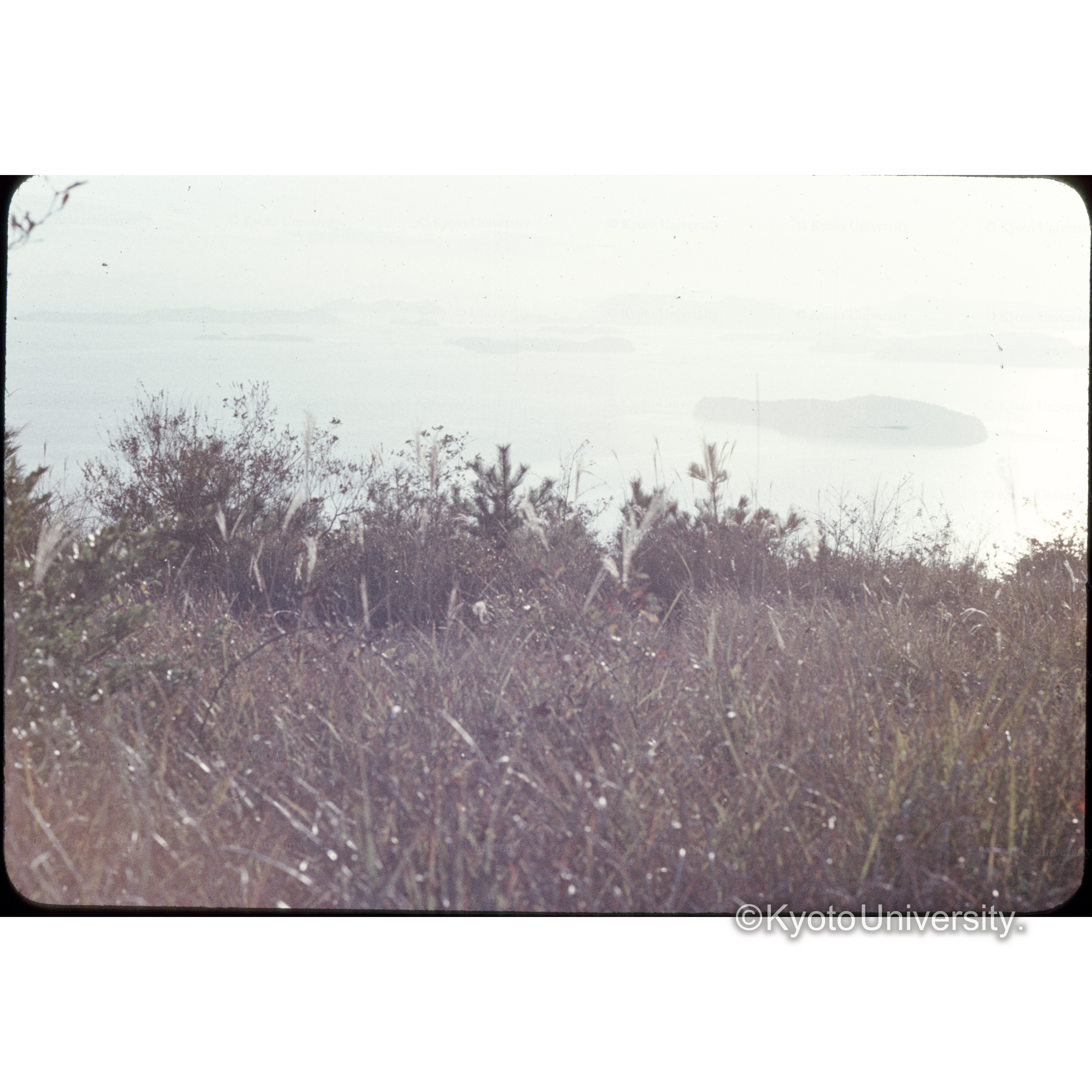 王子山（児島市） (1)