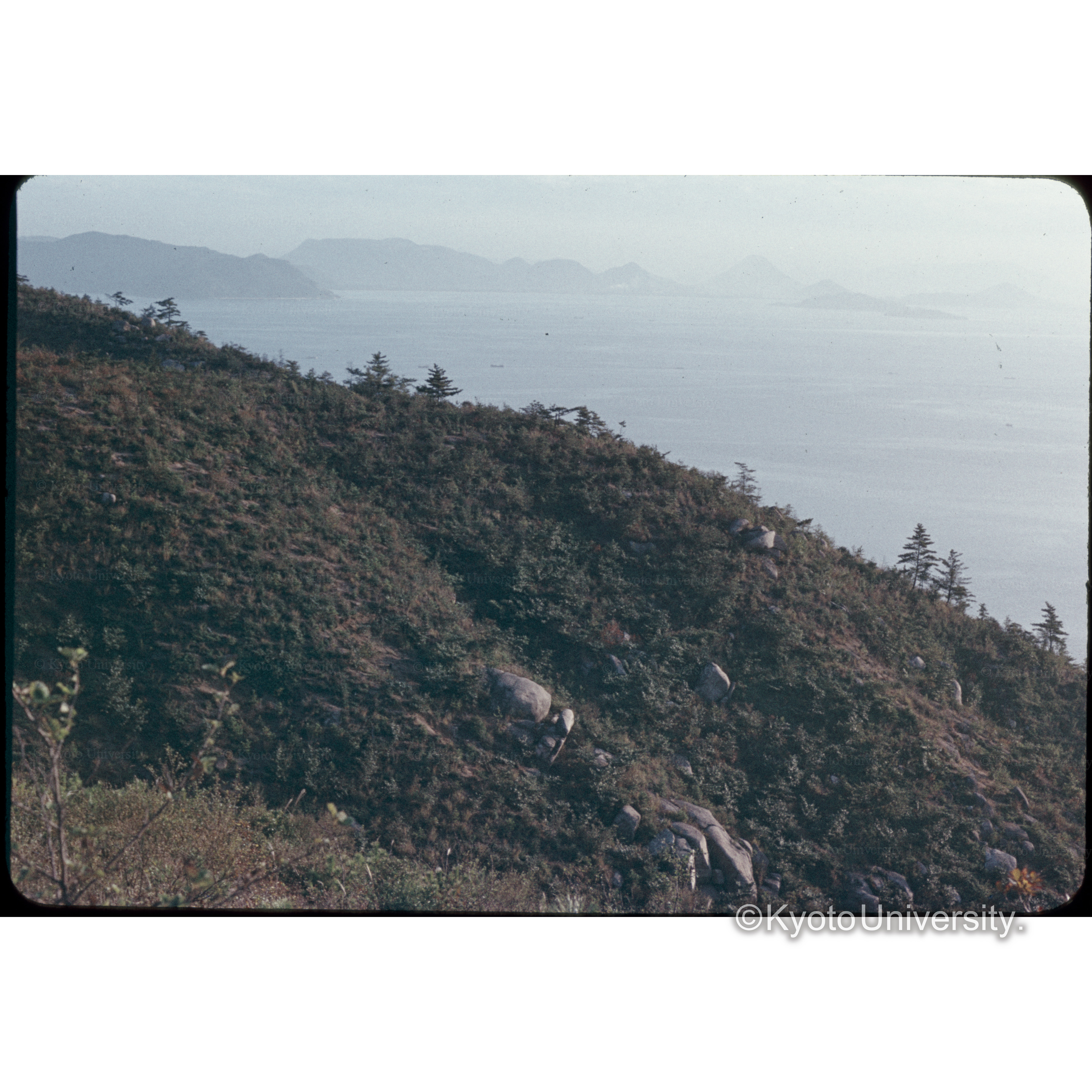 王子山（児島市） (1)