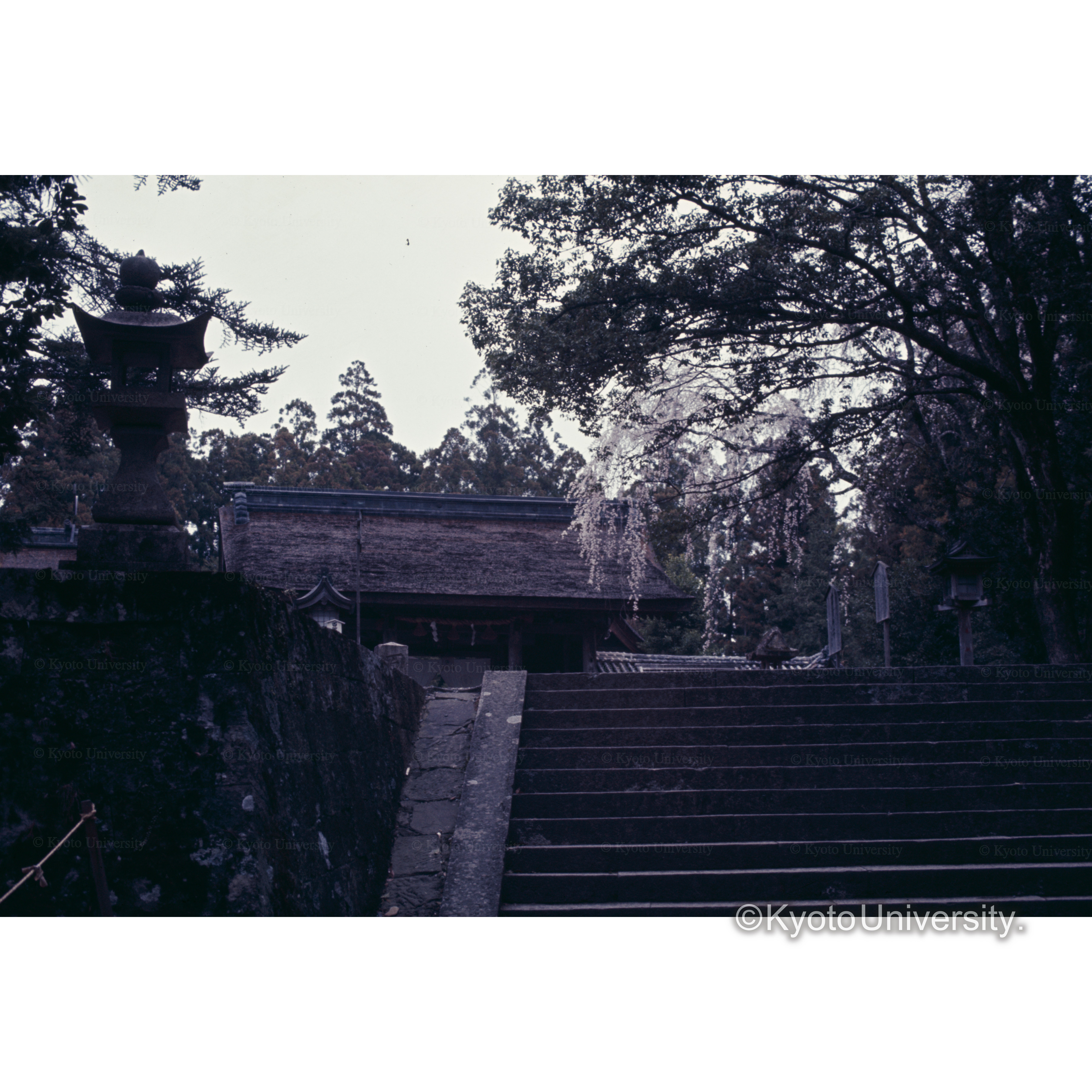 本宮　熊野権現 (1)