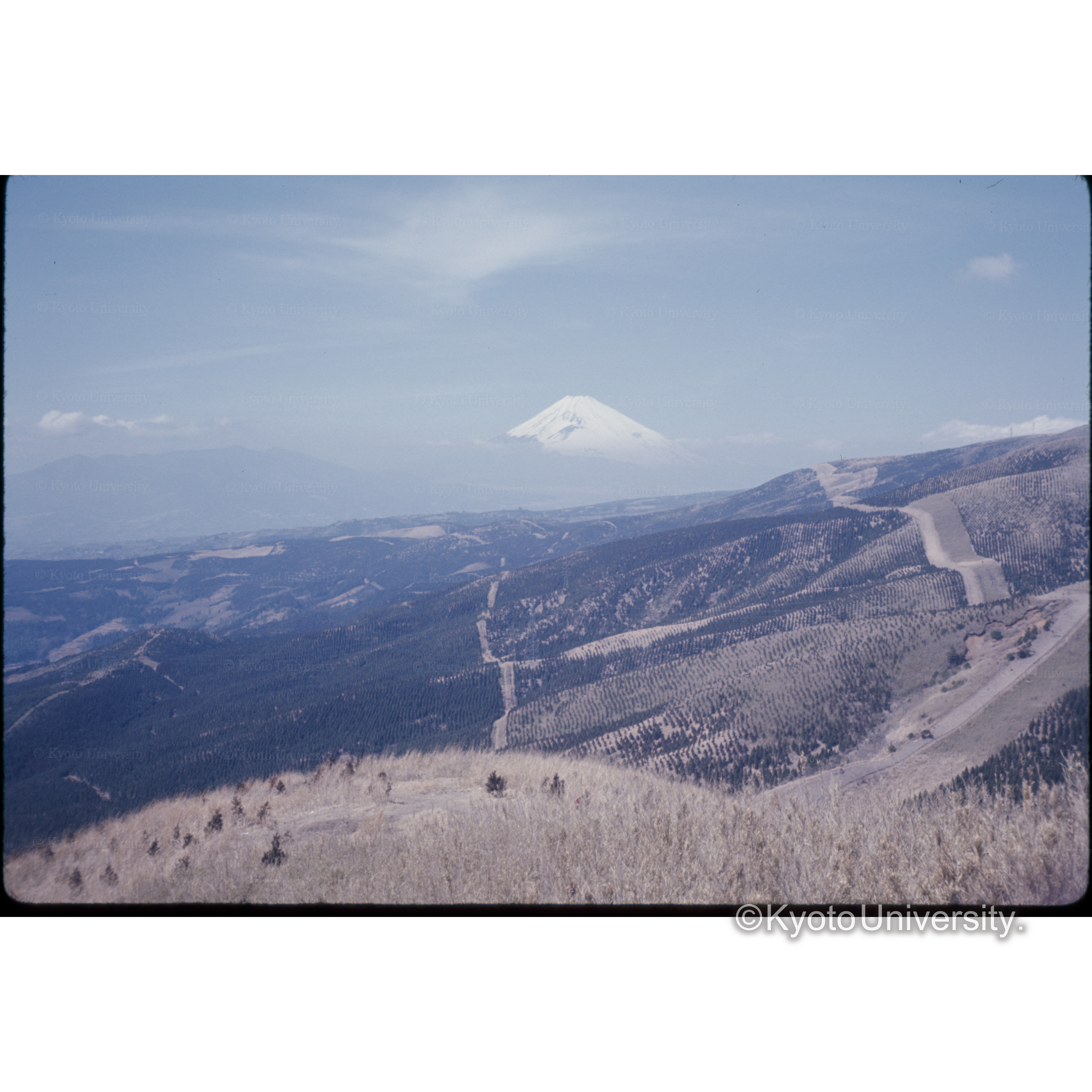 箱根スカイライン (1)