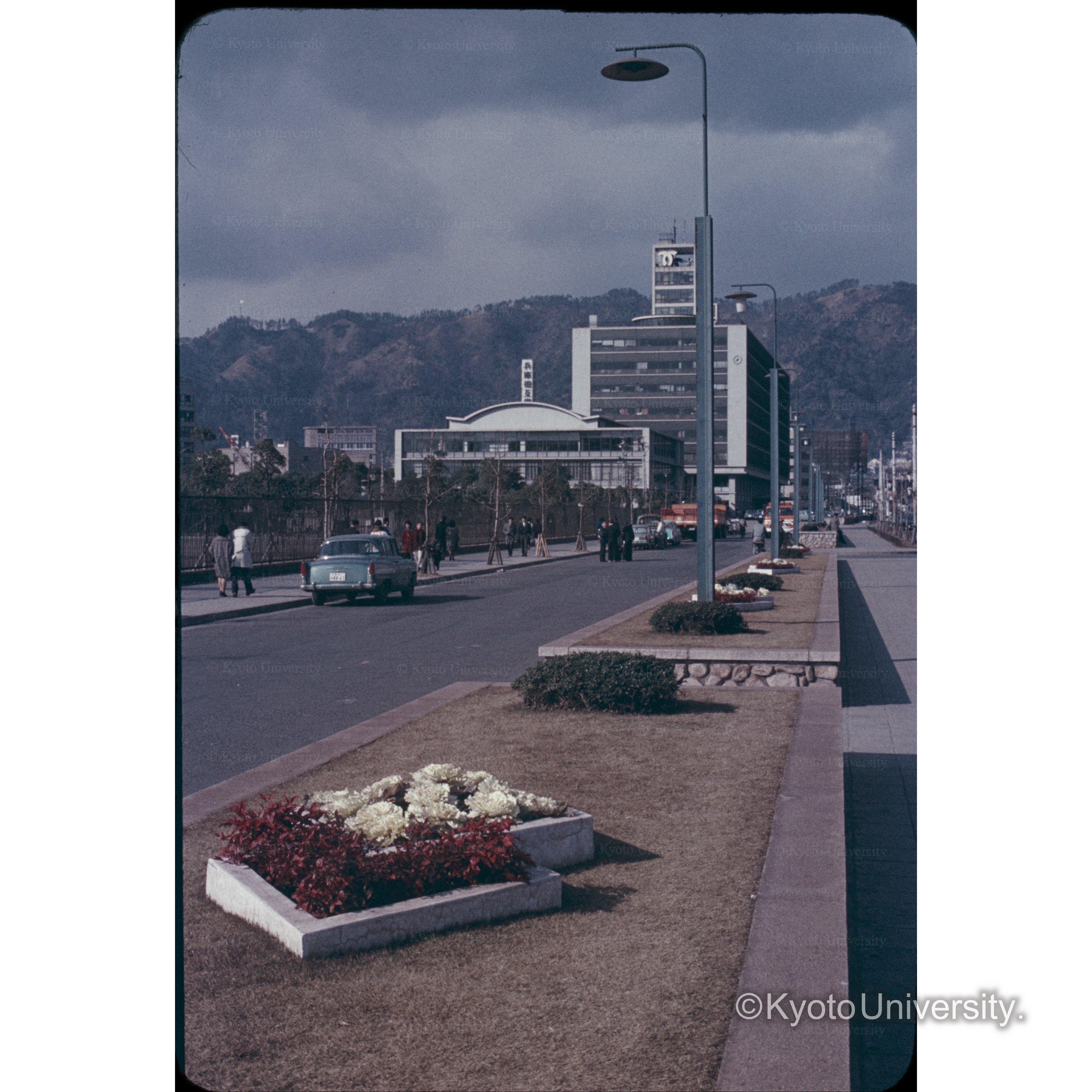 神戸市フラワー通り (1)