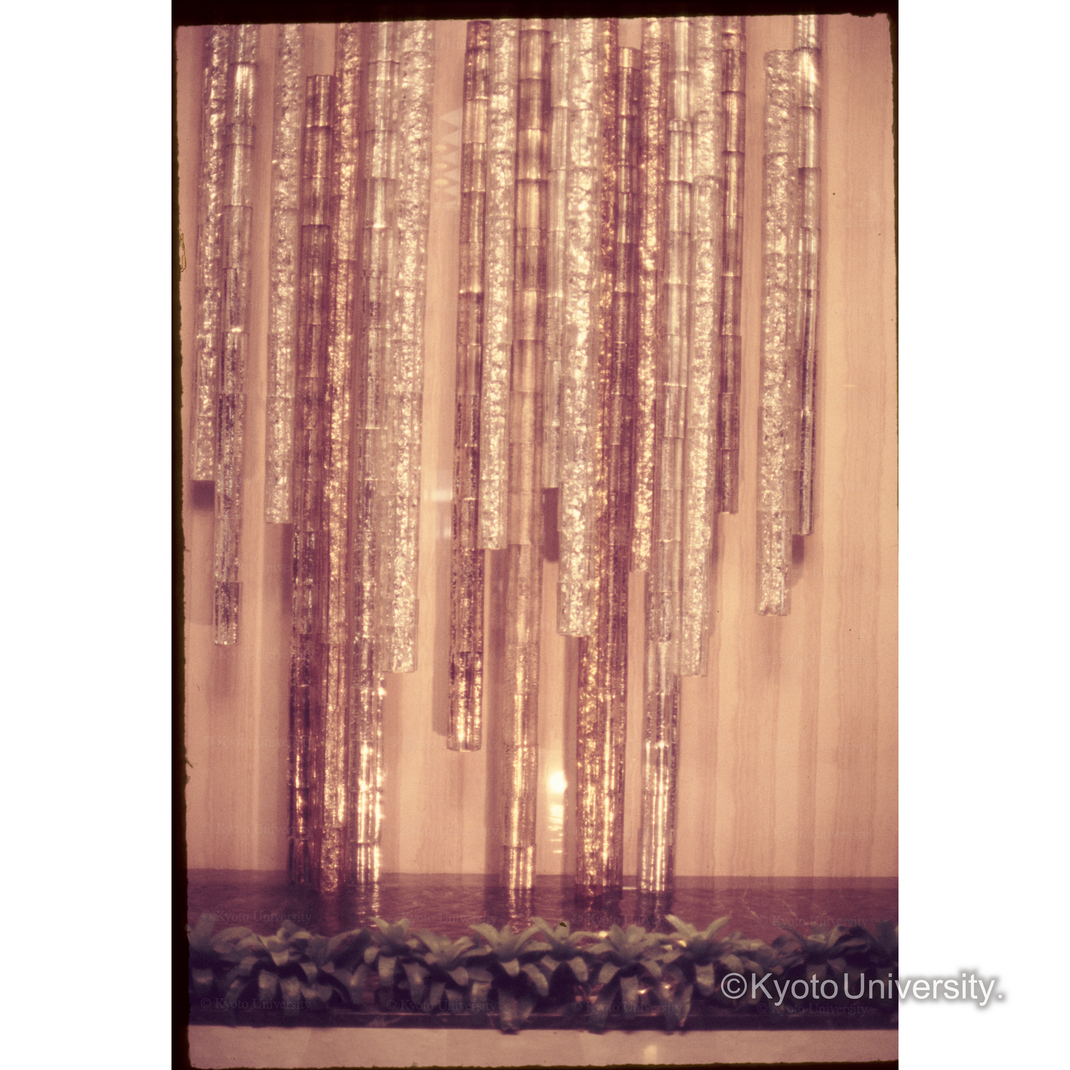 大阪Royal Hotel (1)