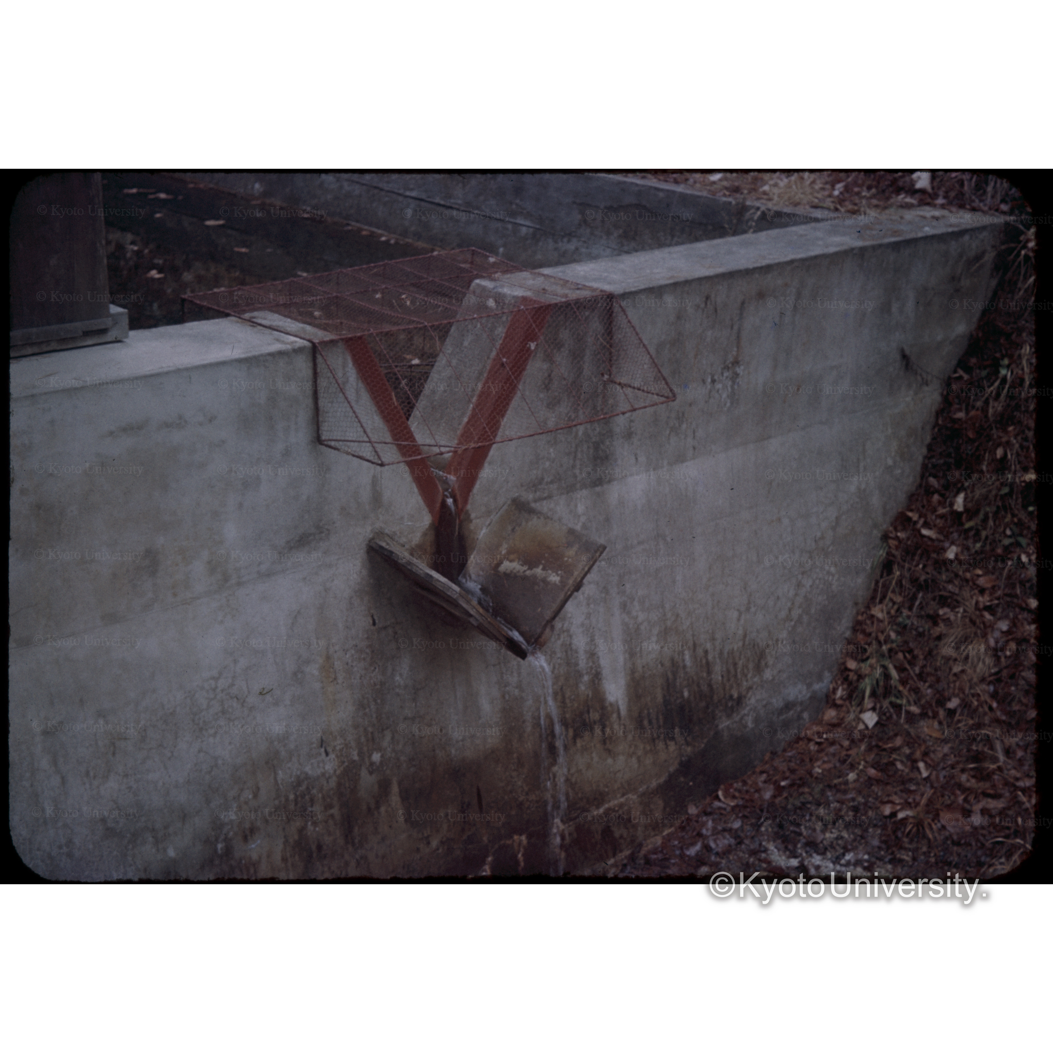 東大愛知演習林 (1)