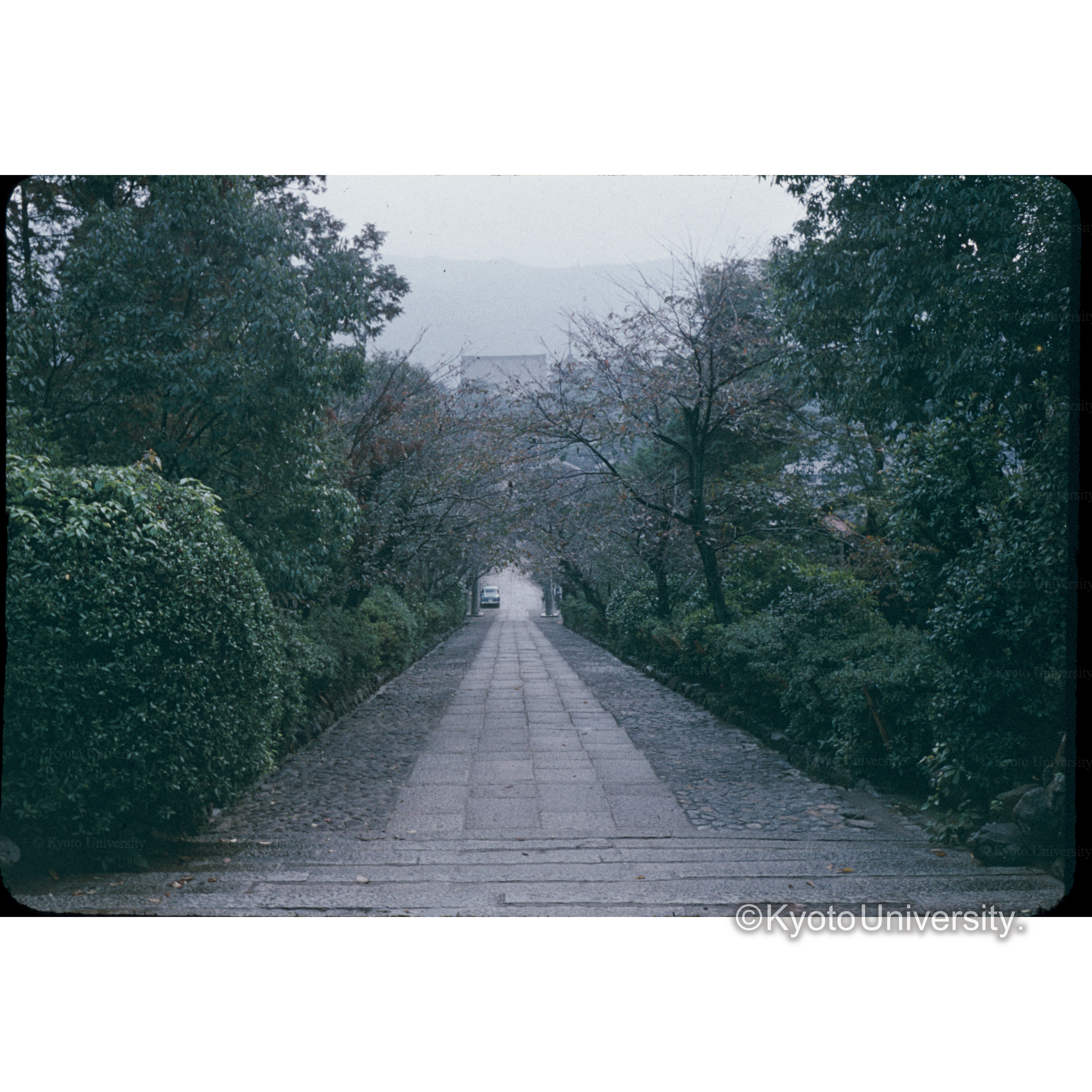 宗方神社から真如堂をみる (1)