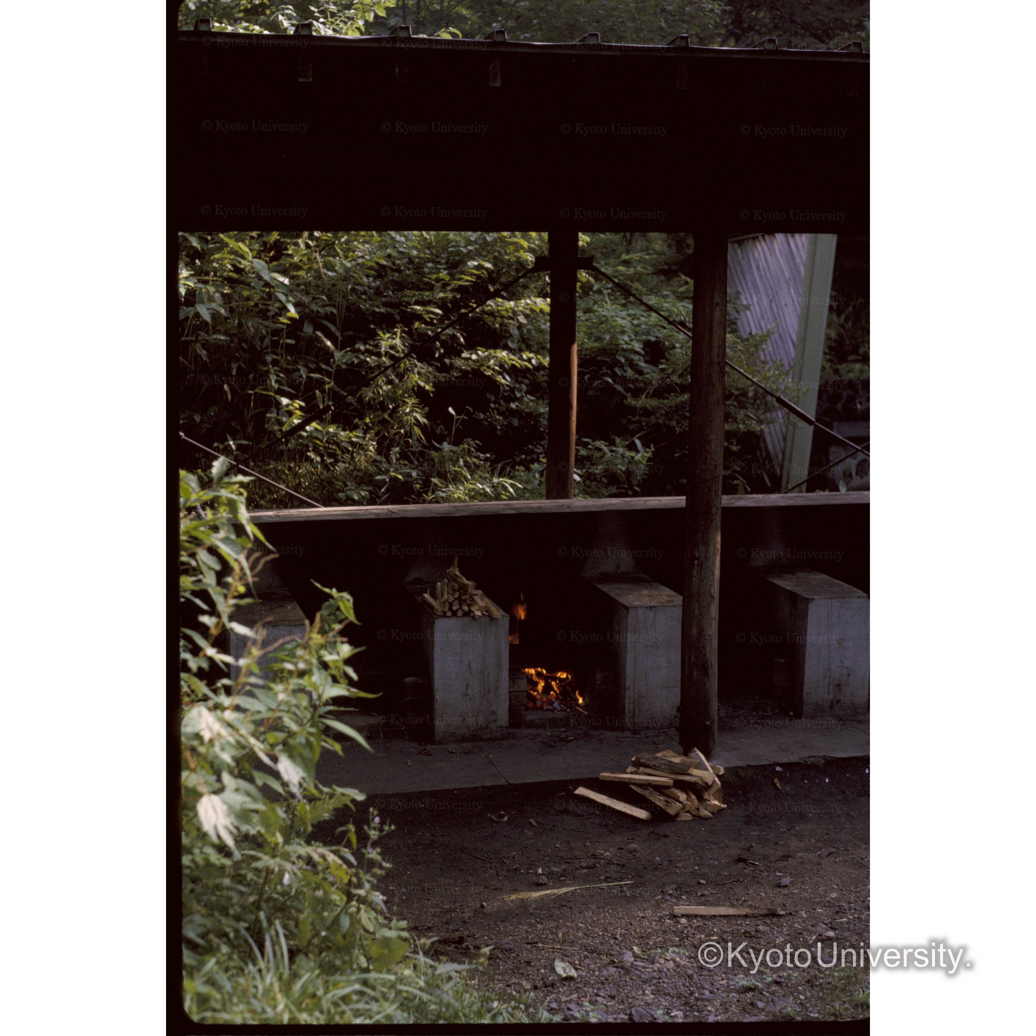 平湯キャンプ場 (1)