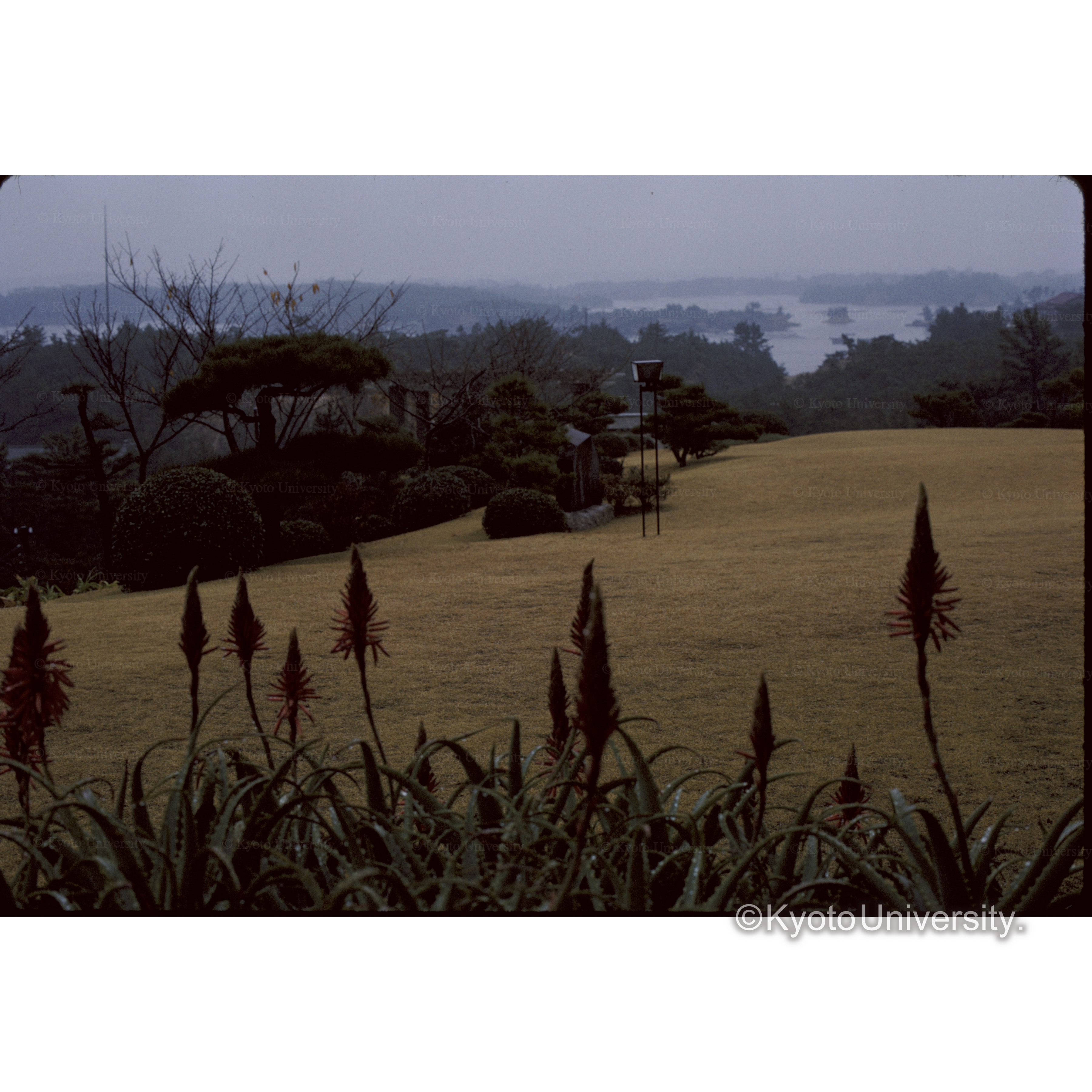 賢島観光ホテル (1)