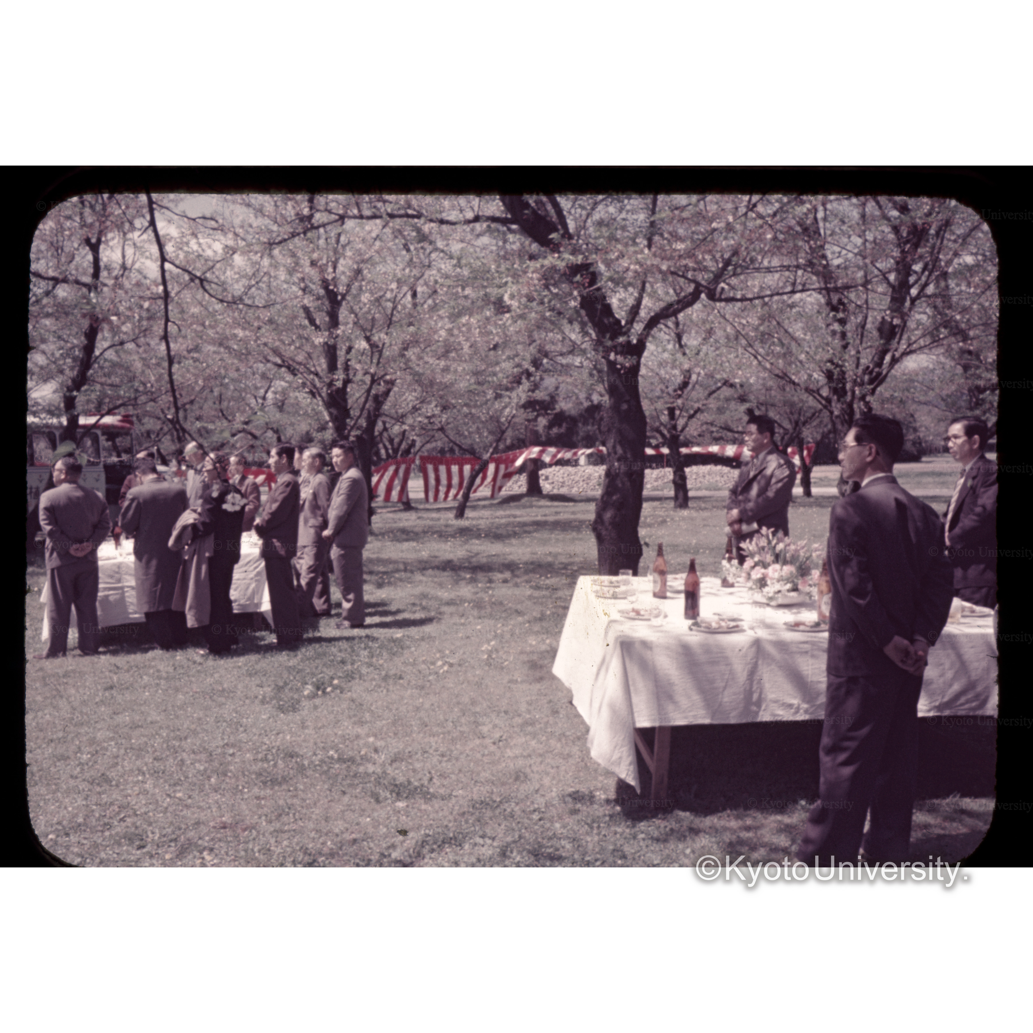 植物園開場式 (1)