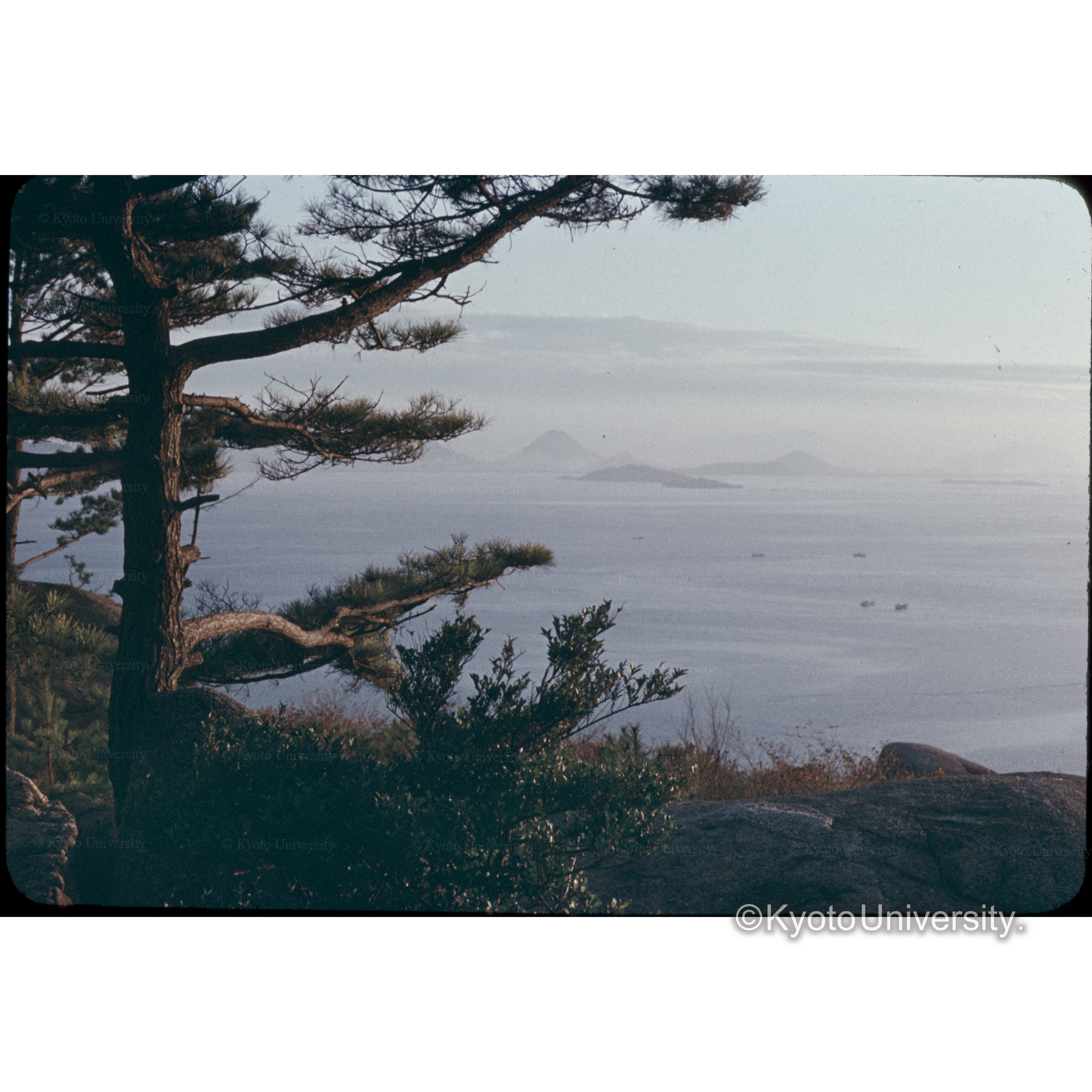 王子山（児島市） (1)