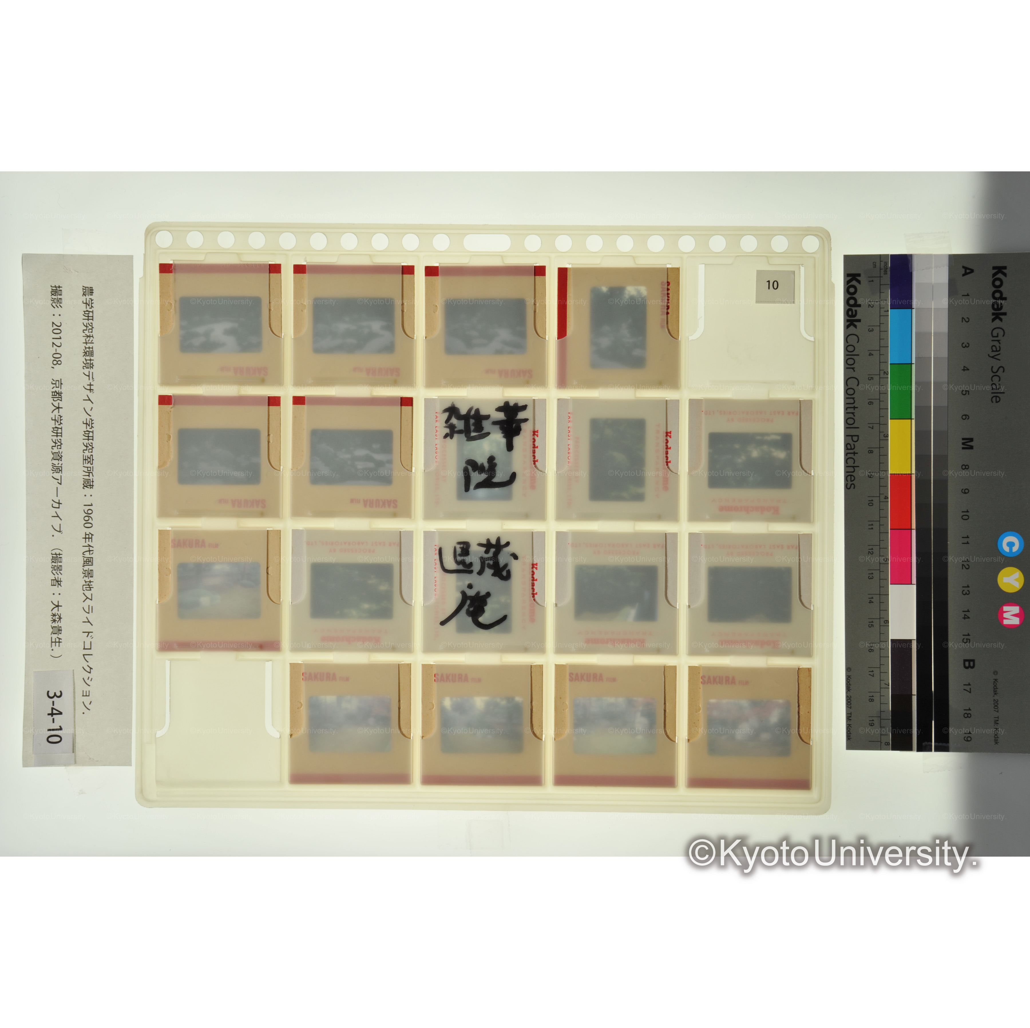 雑華院, 退蔵院 (2)