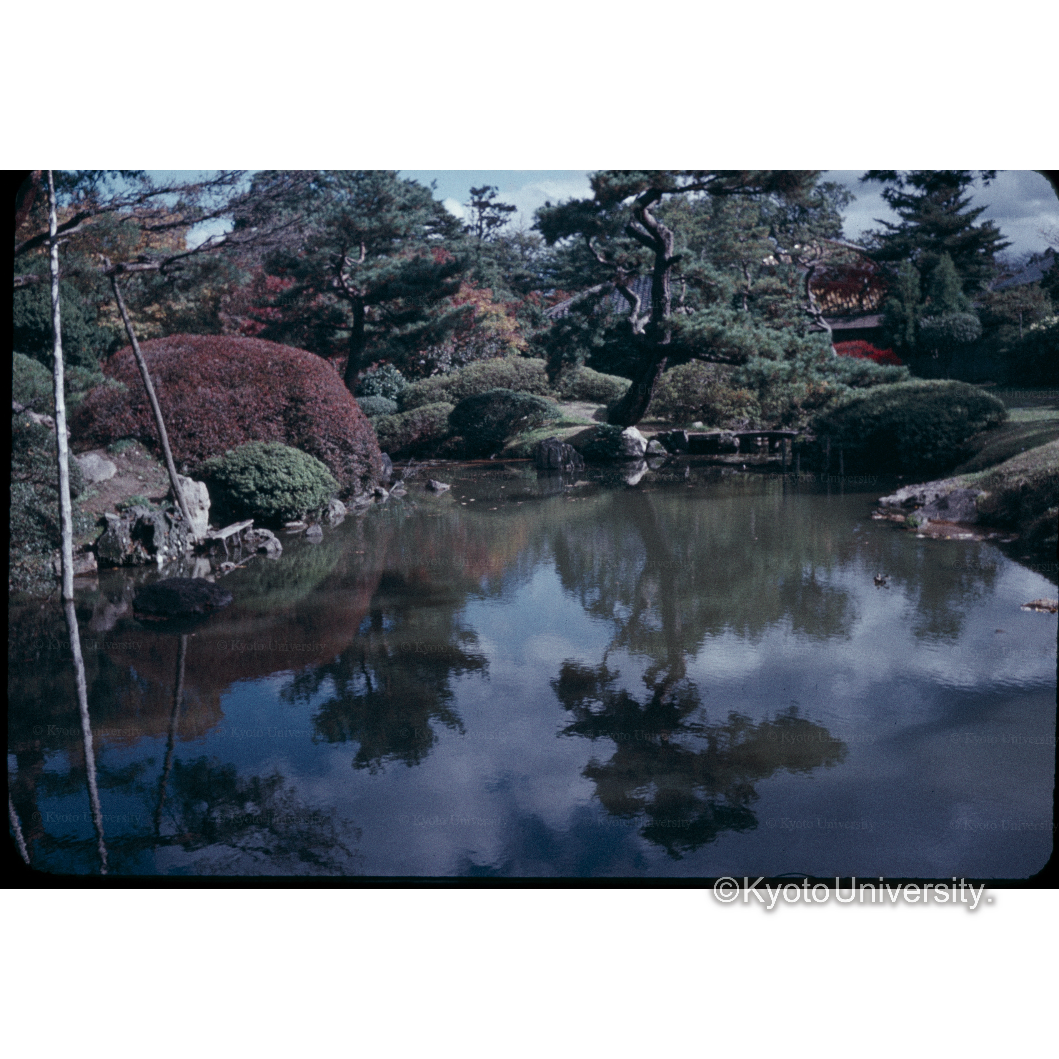 鶴岡城□□の庭 (1)