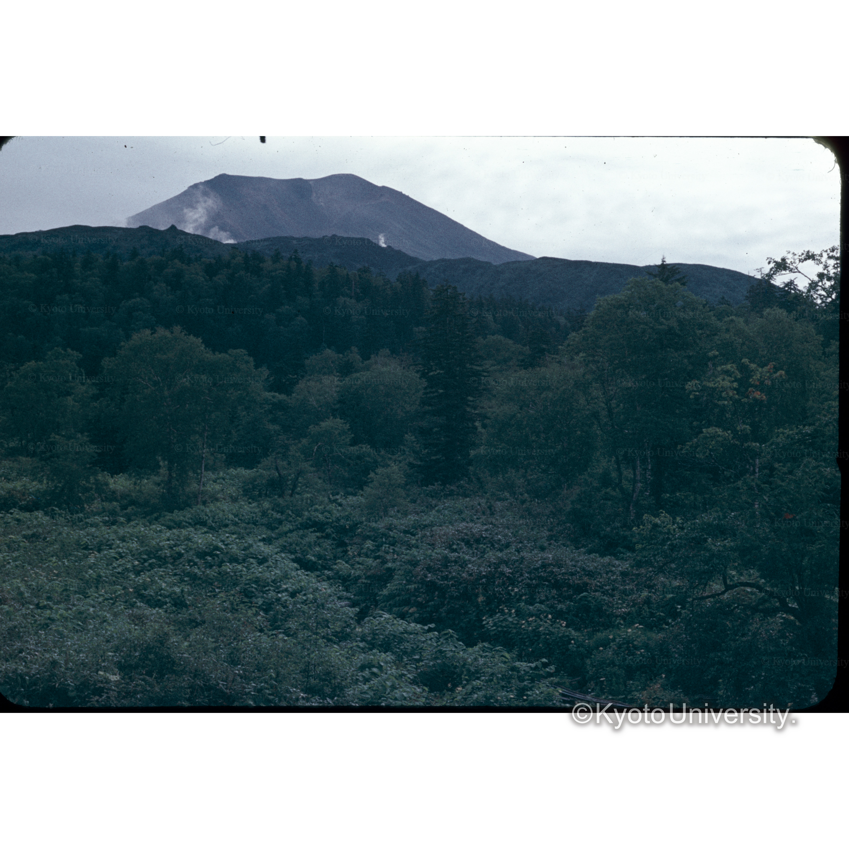 湧駒別の御岳荘からみた旭岳 (1)