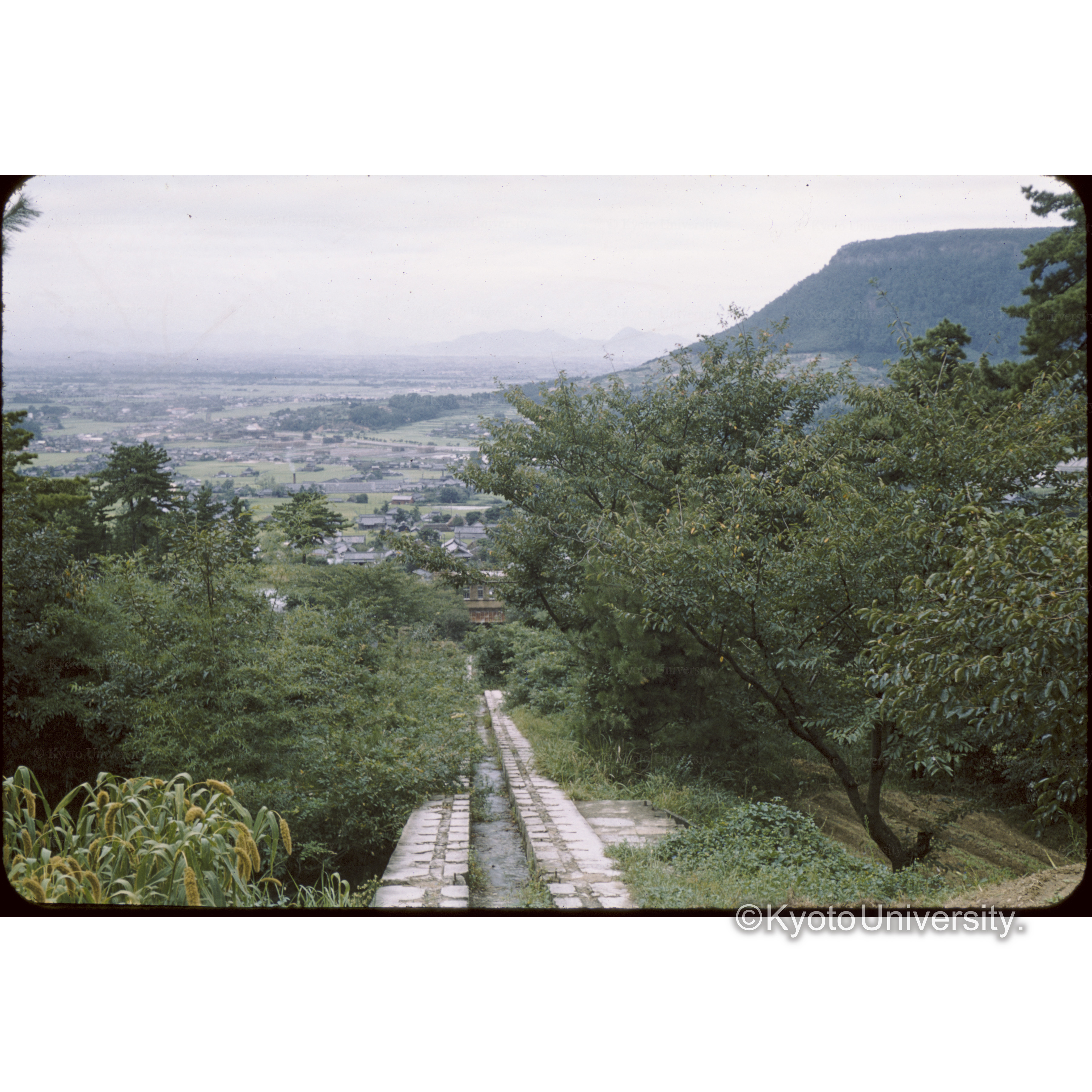 〔山から街を望む〕 (1)