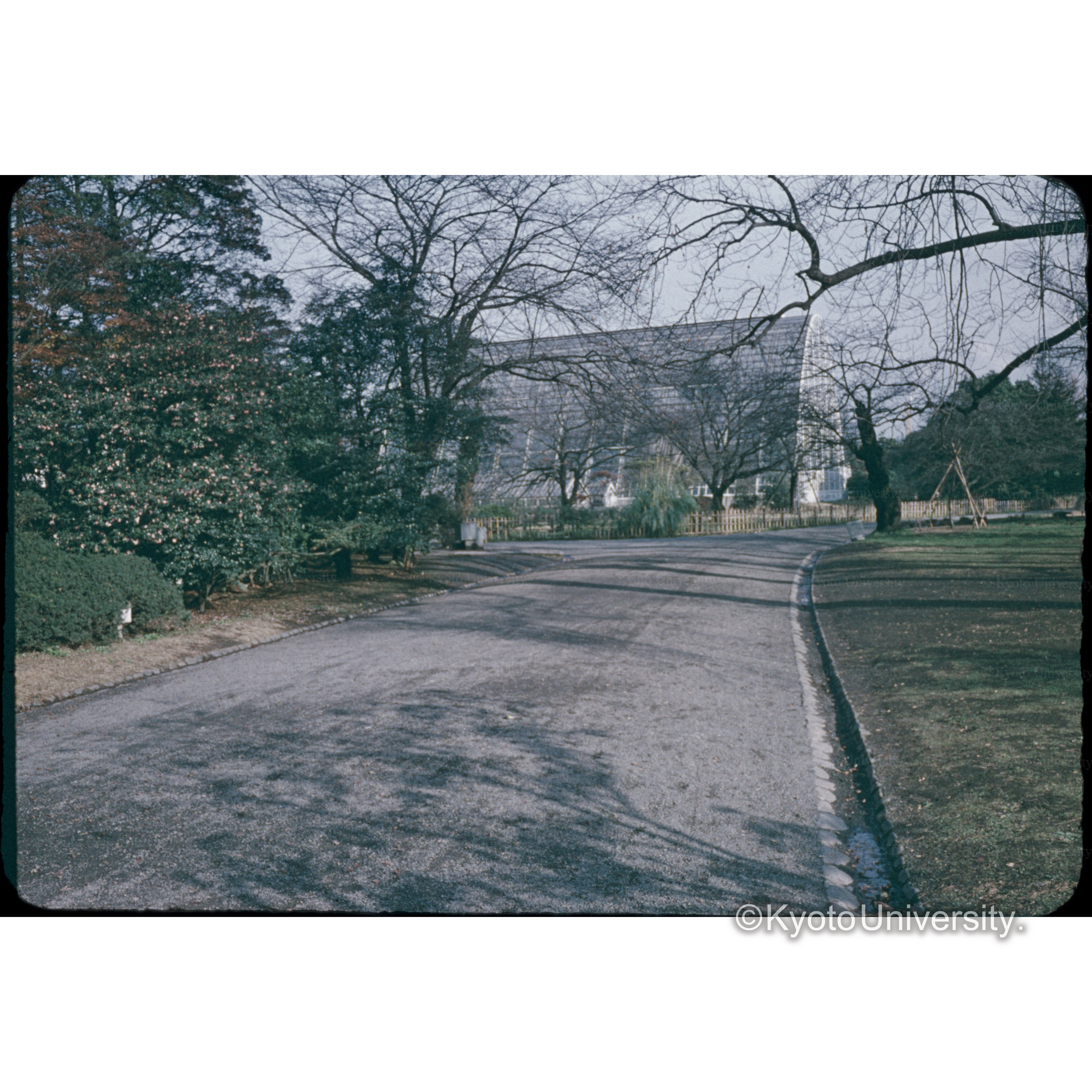 新宿御苑□□ (1)