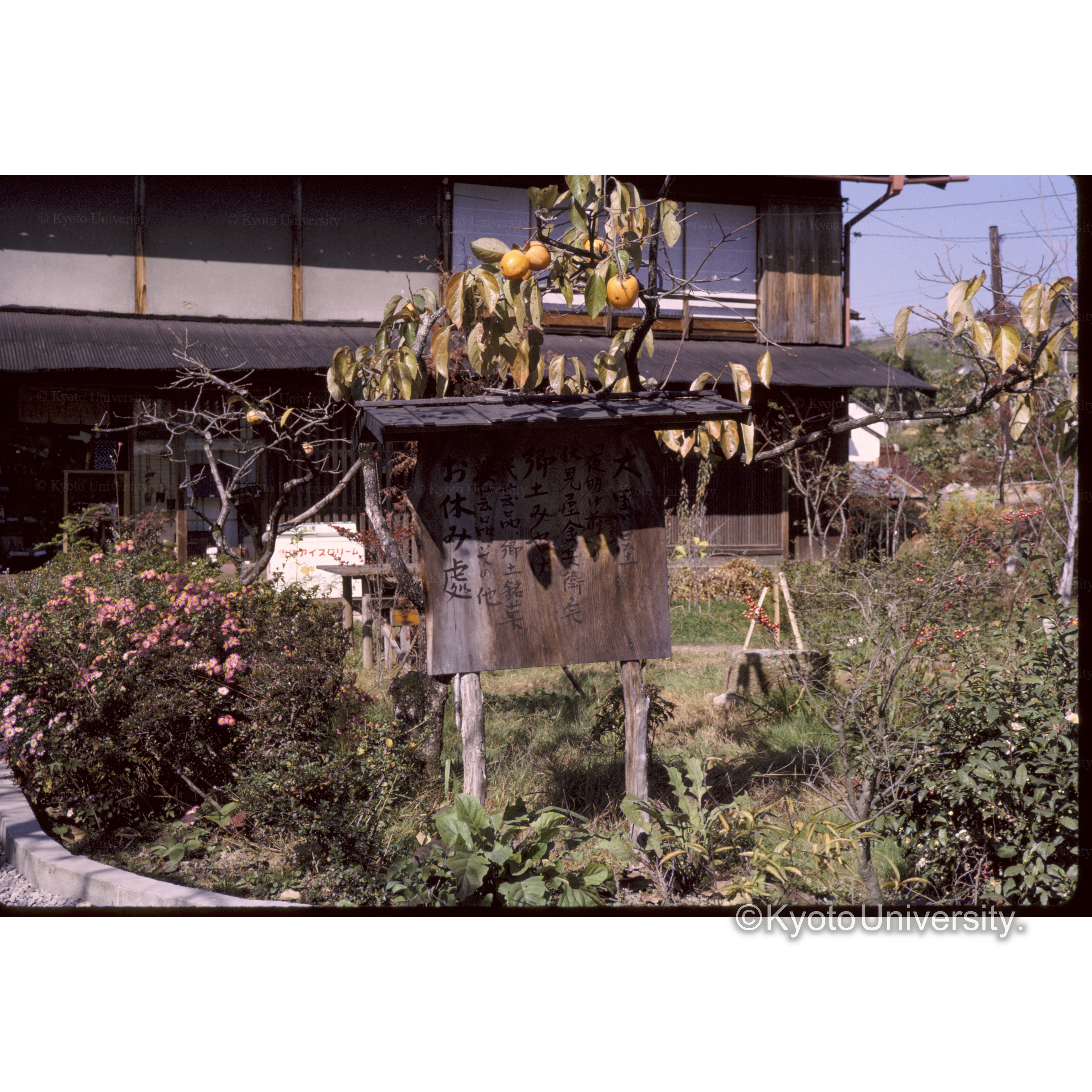 □□館近くの大□屋 (1)