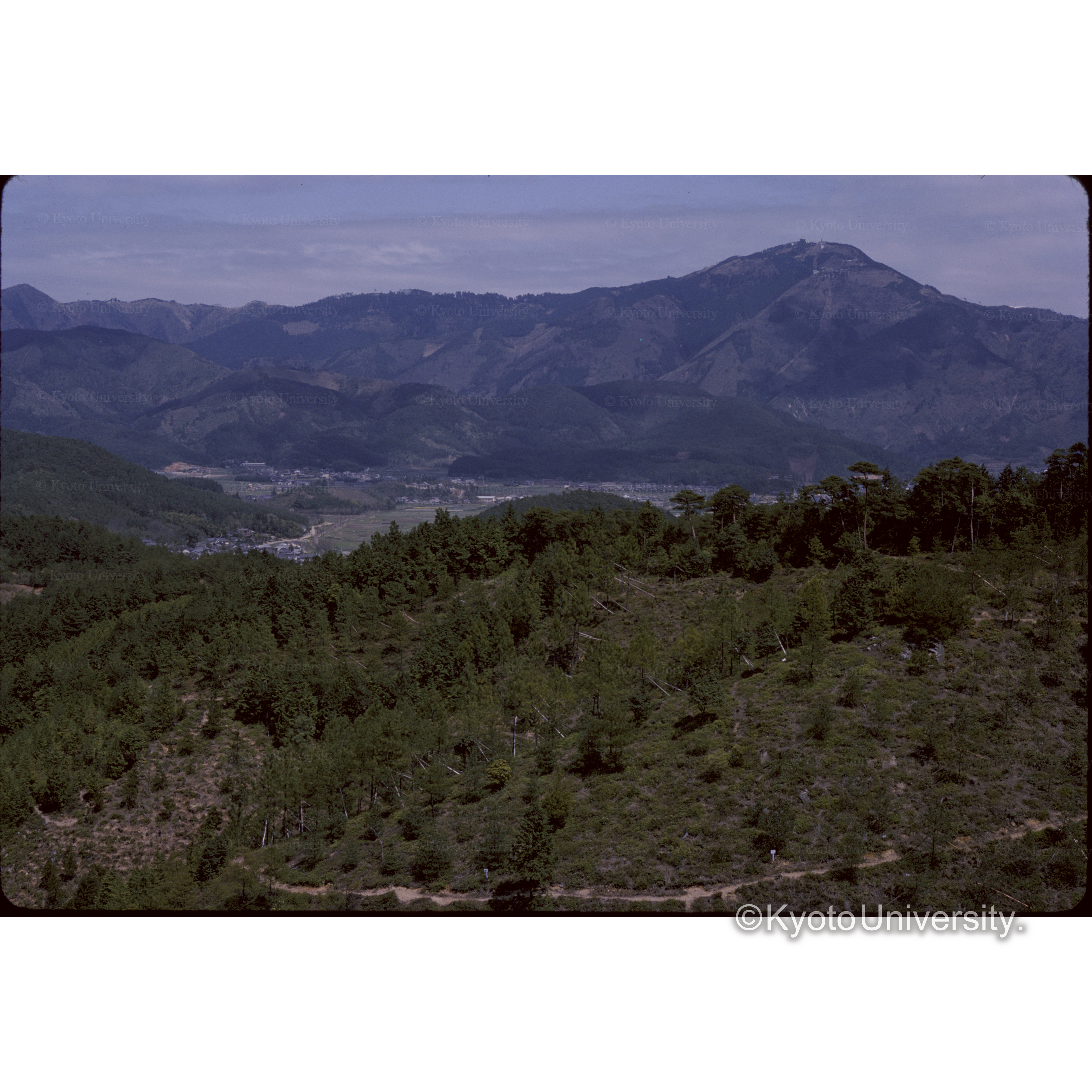 上賀茂試験地 (1)