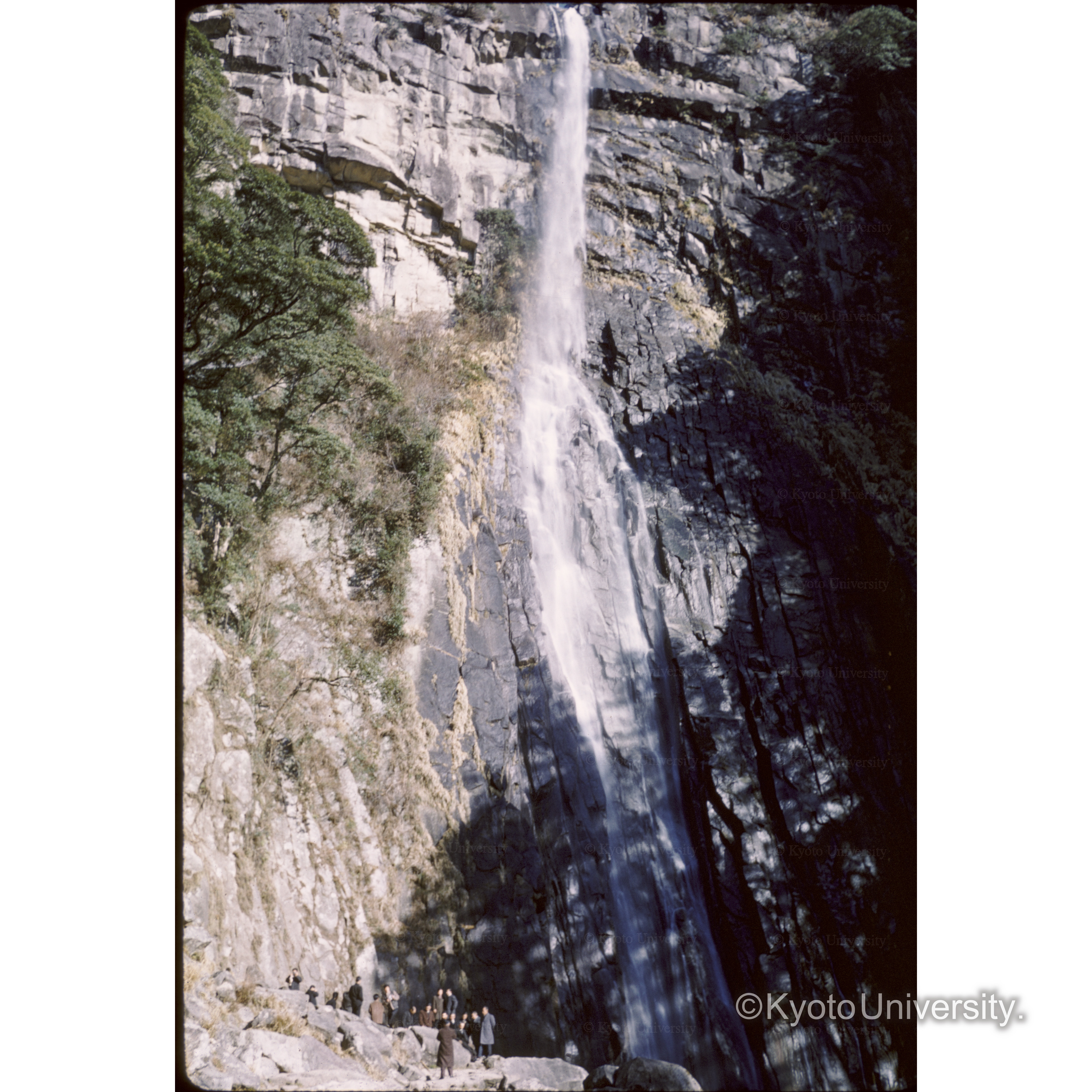 〔吉野熊野〕ナチ (1)