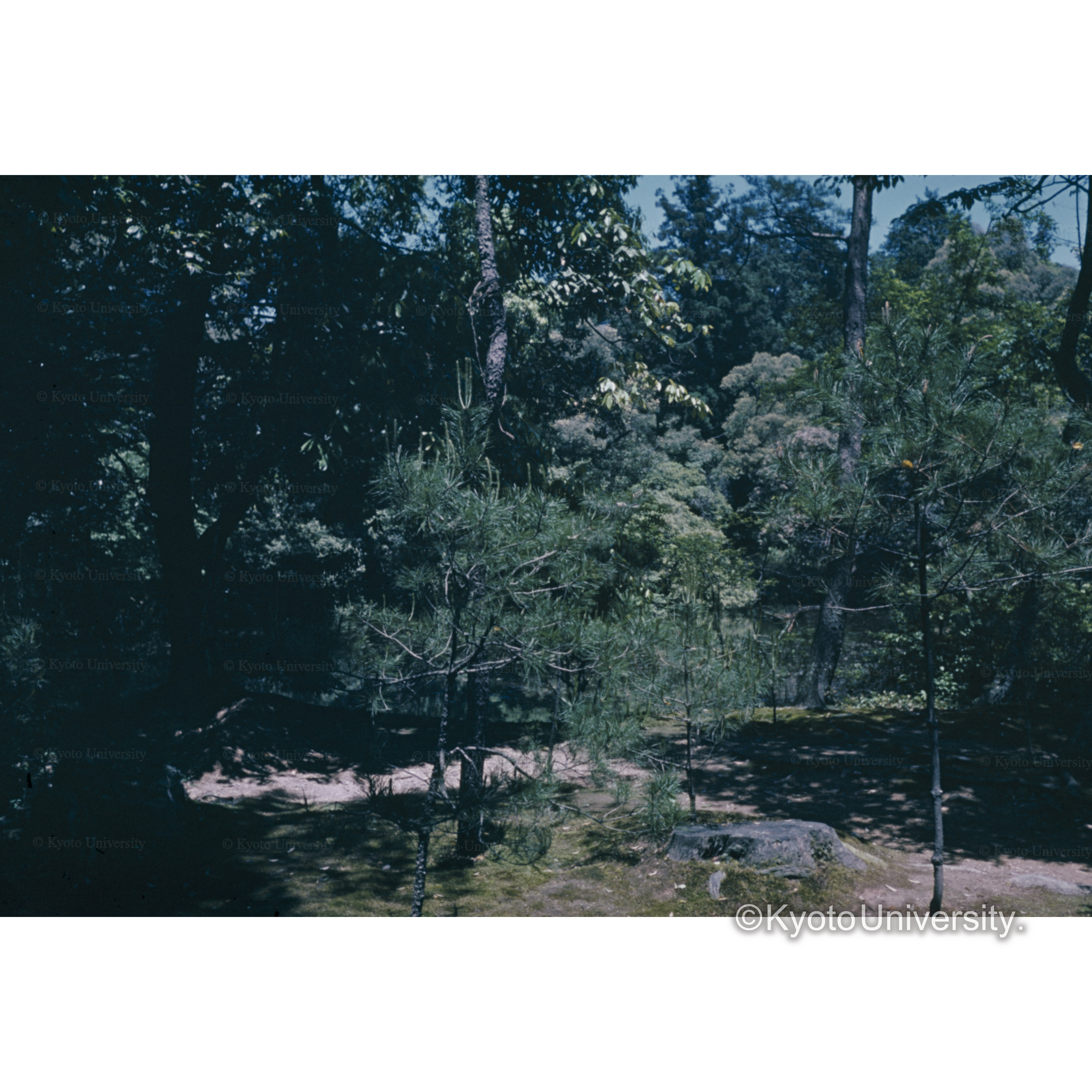 金閣寺、安眠沢 (1)