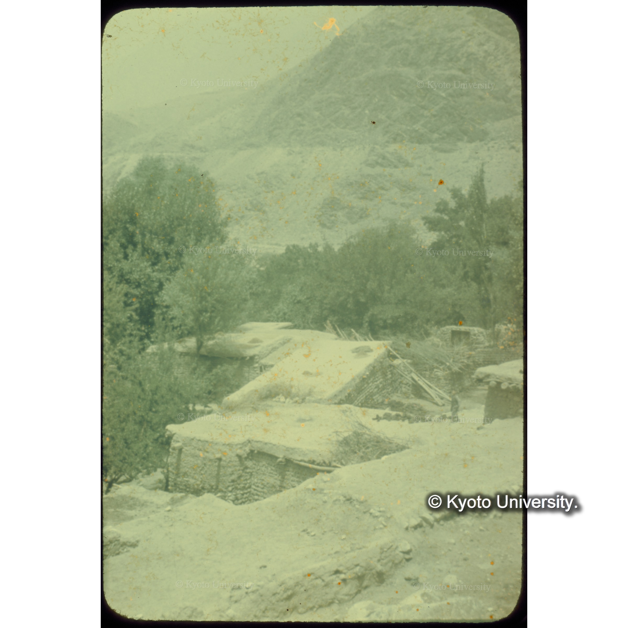 灌漑水路沿いに木立があり陸屋根の農家があった (1)