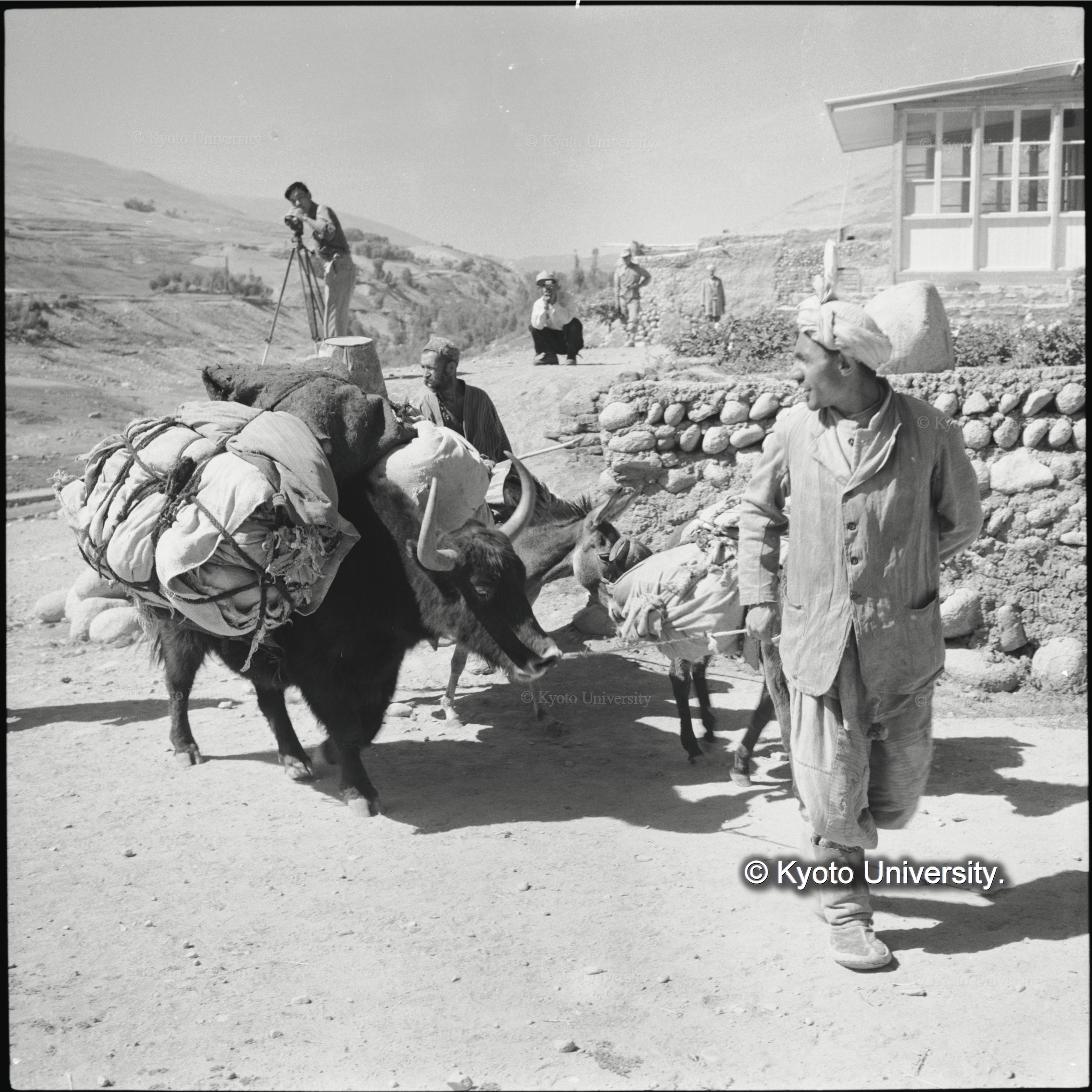 中国領パミールからワフジル峠を越えて避難してきた集団があった (1)
