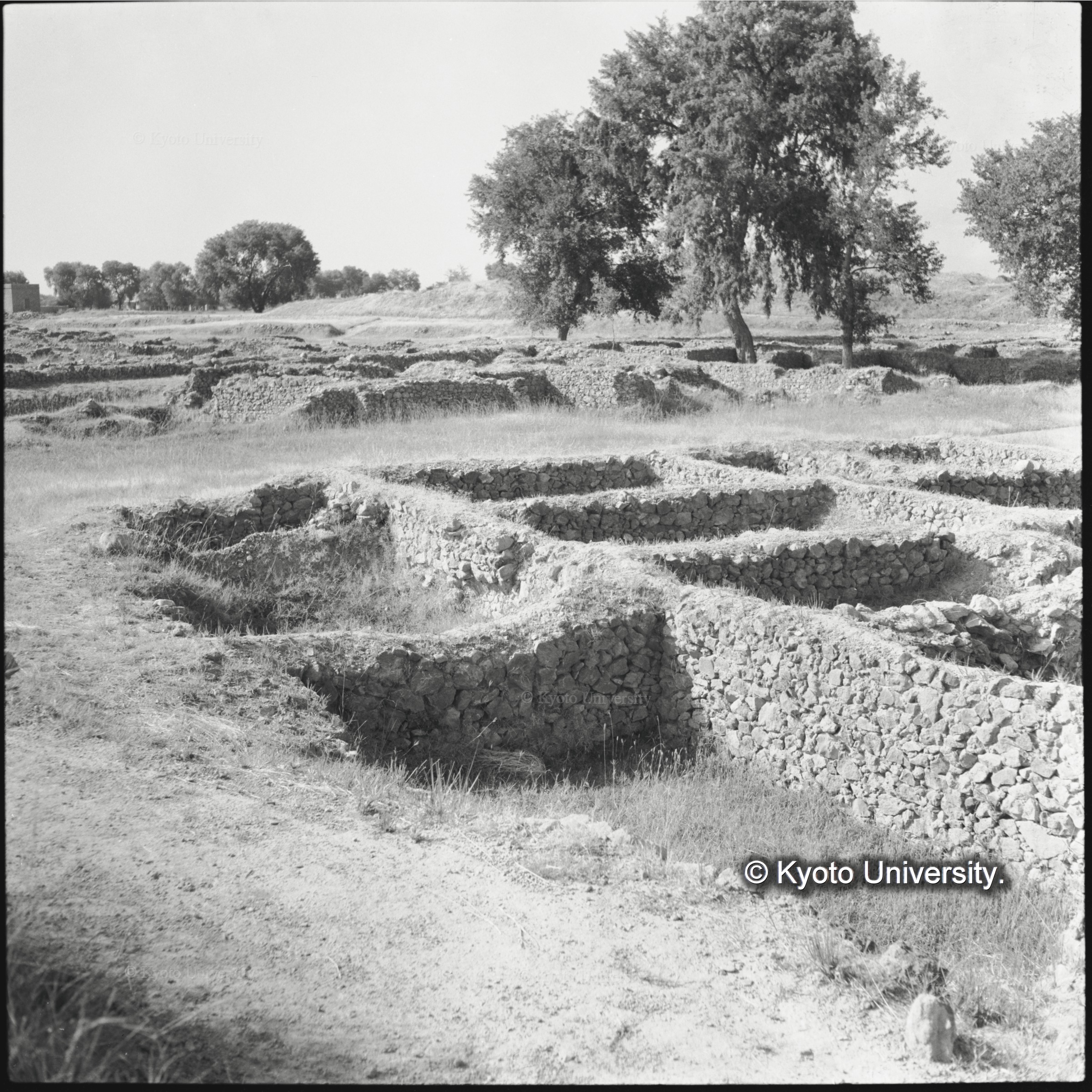パキスタン北部タキシラ仏教遺跡を訪ねた (1)