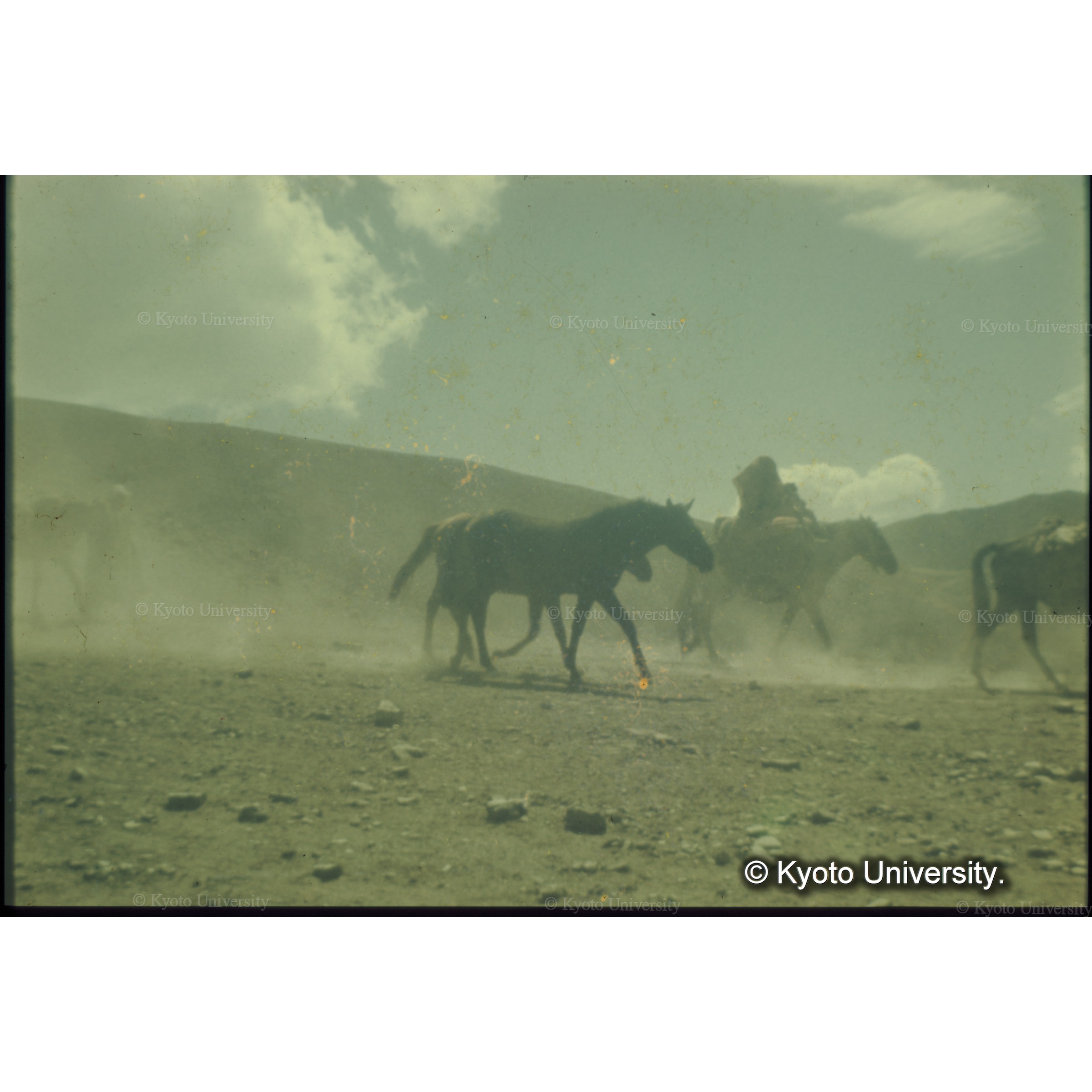 シワ高原の牧地からおりてくる遊牧民と家畜たち (1)