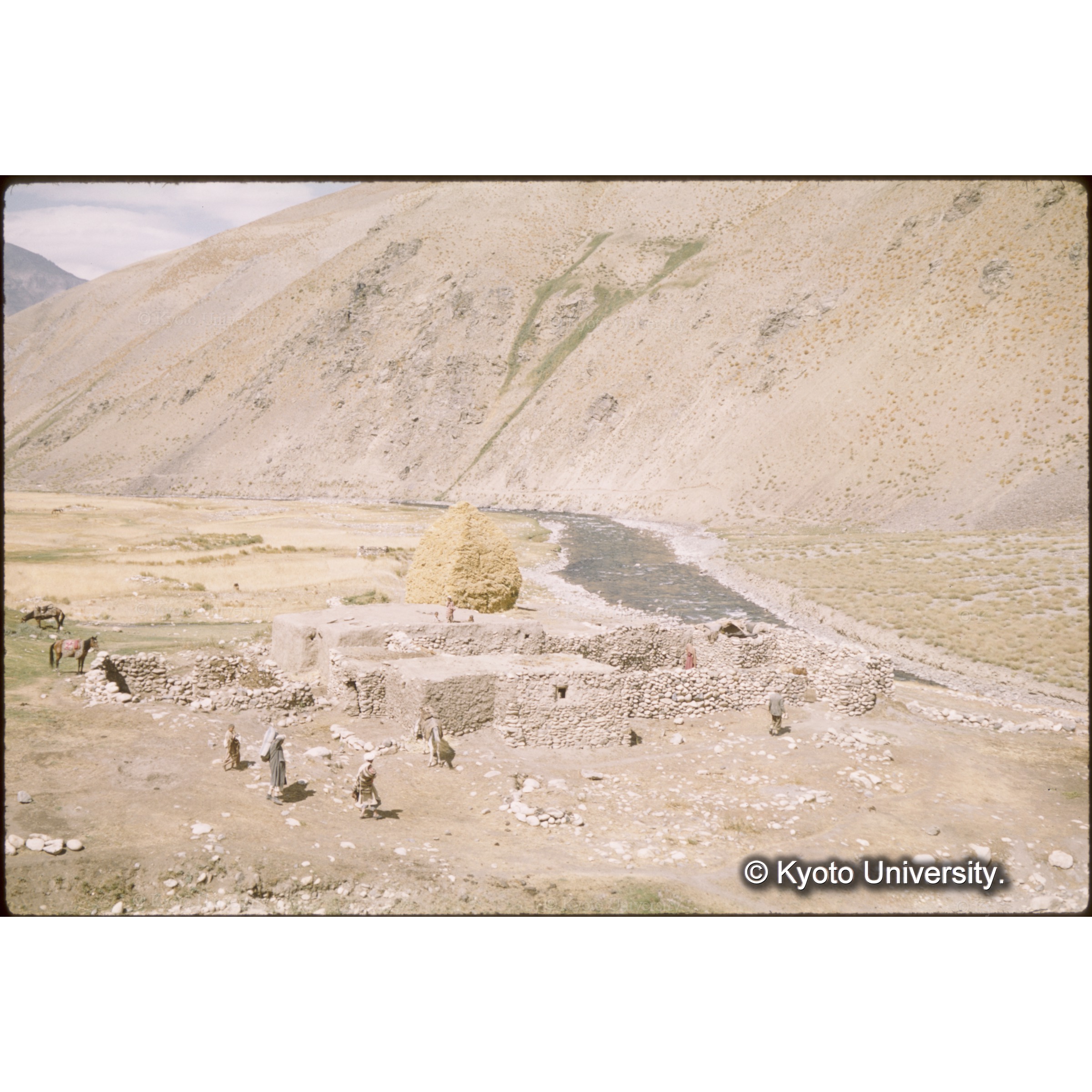 山中の一軒家では収穫物を屋根上に積み上げていた (1)