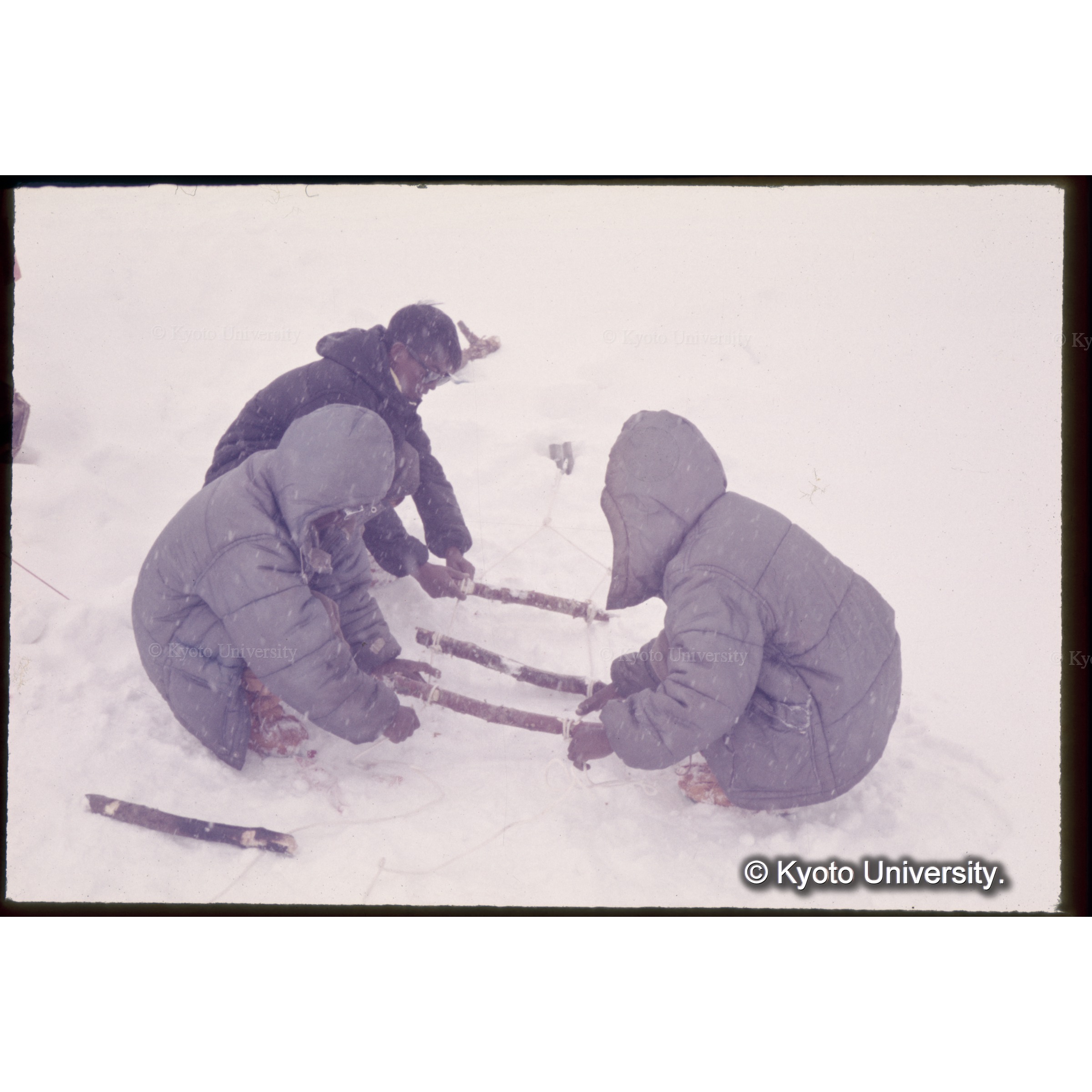 縄ばしごの横木をロープでつなぐ。木村も加わる (1)