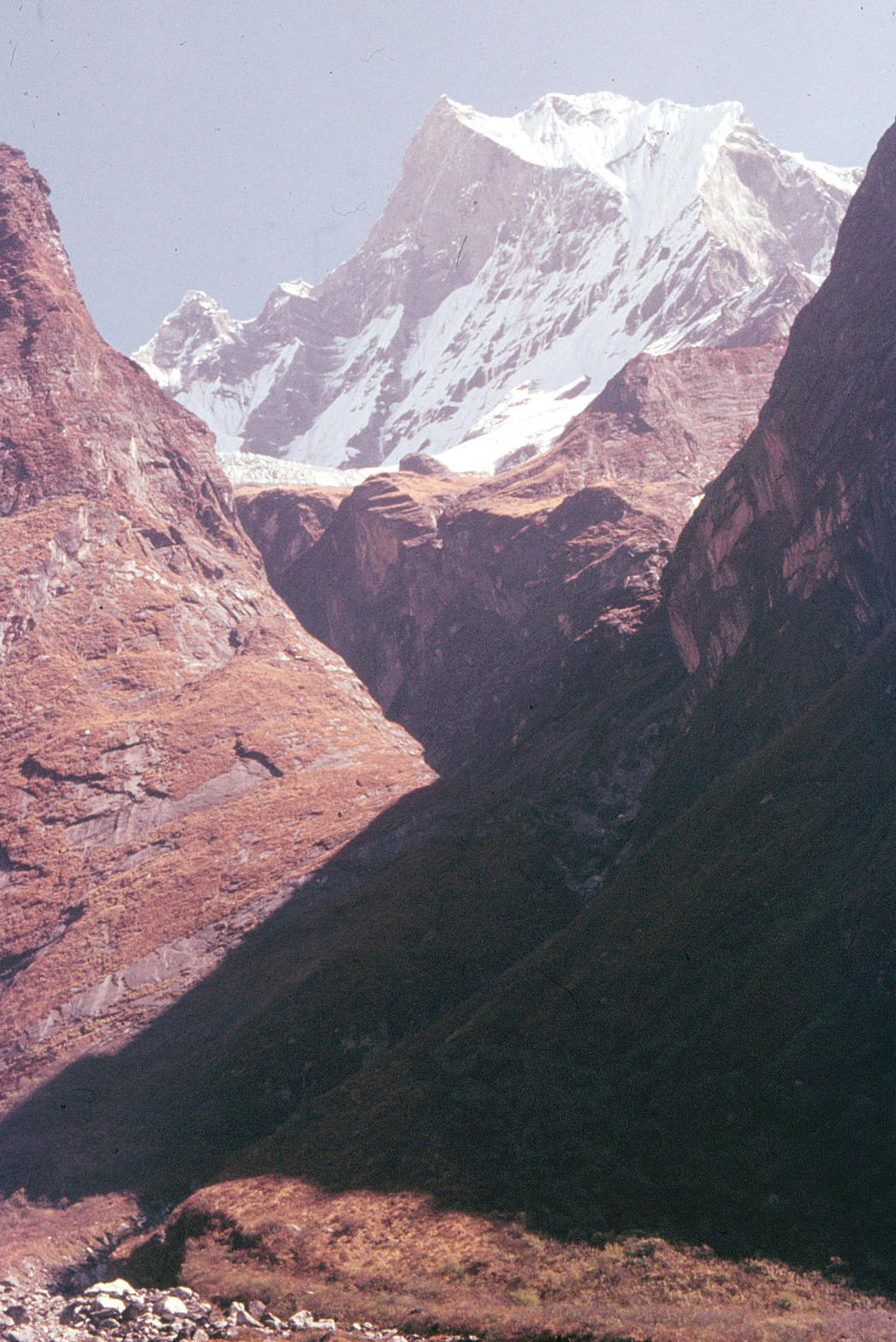 モディ・コーラ源頭、マチャプチャリを見上げながら (1)