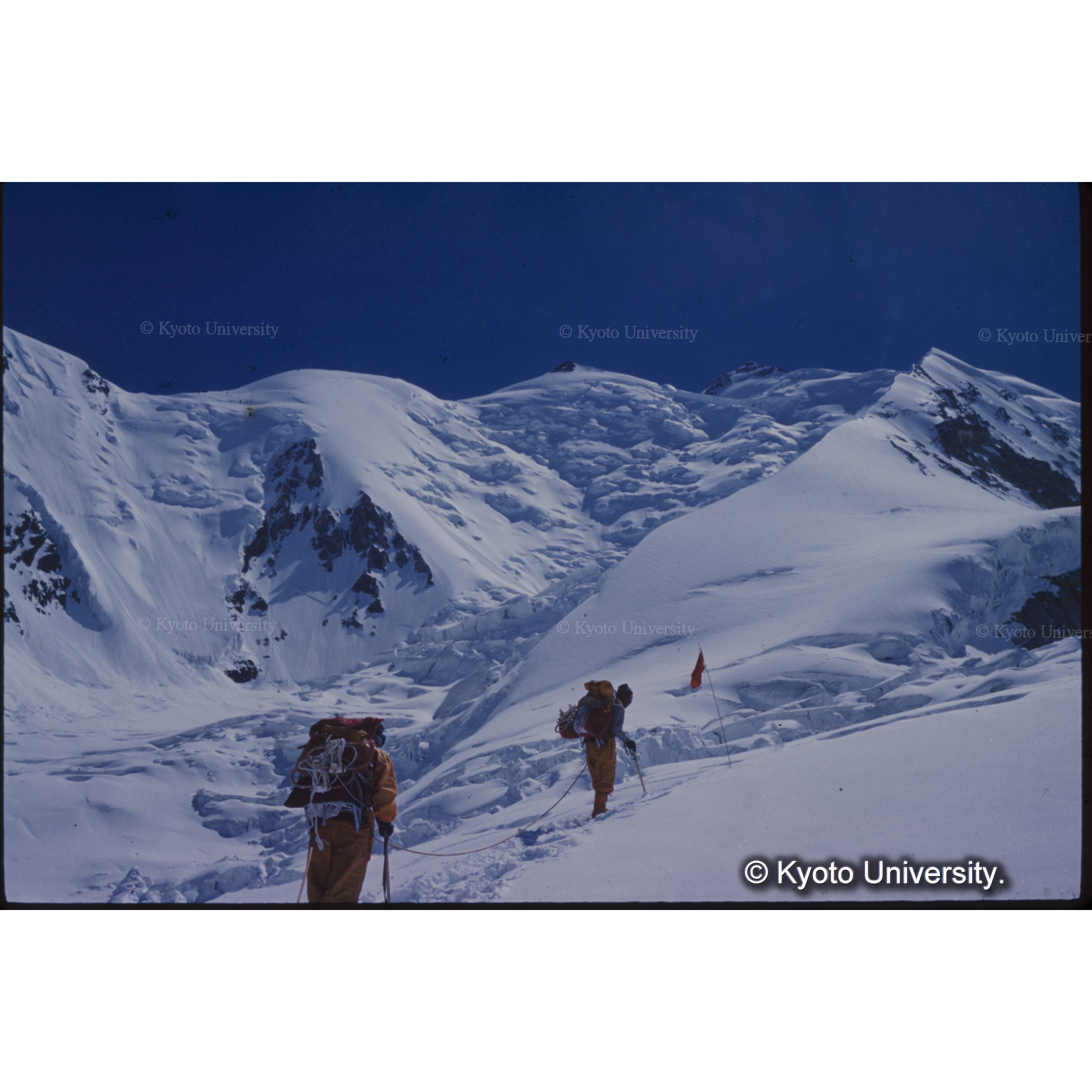 C1からC2、バルトロカンリ (1)