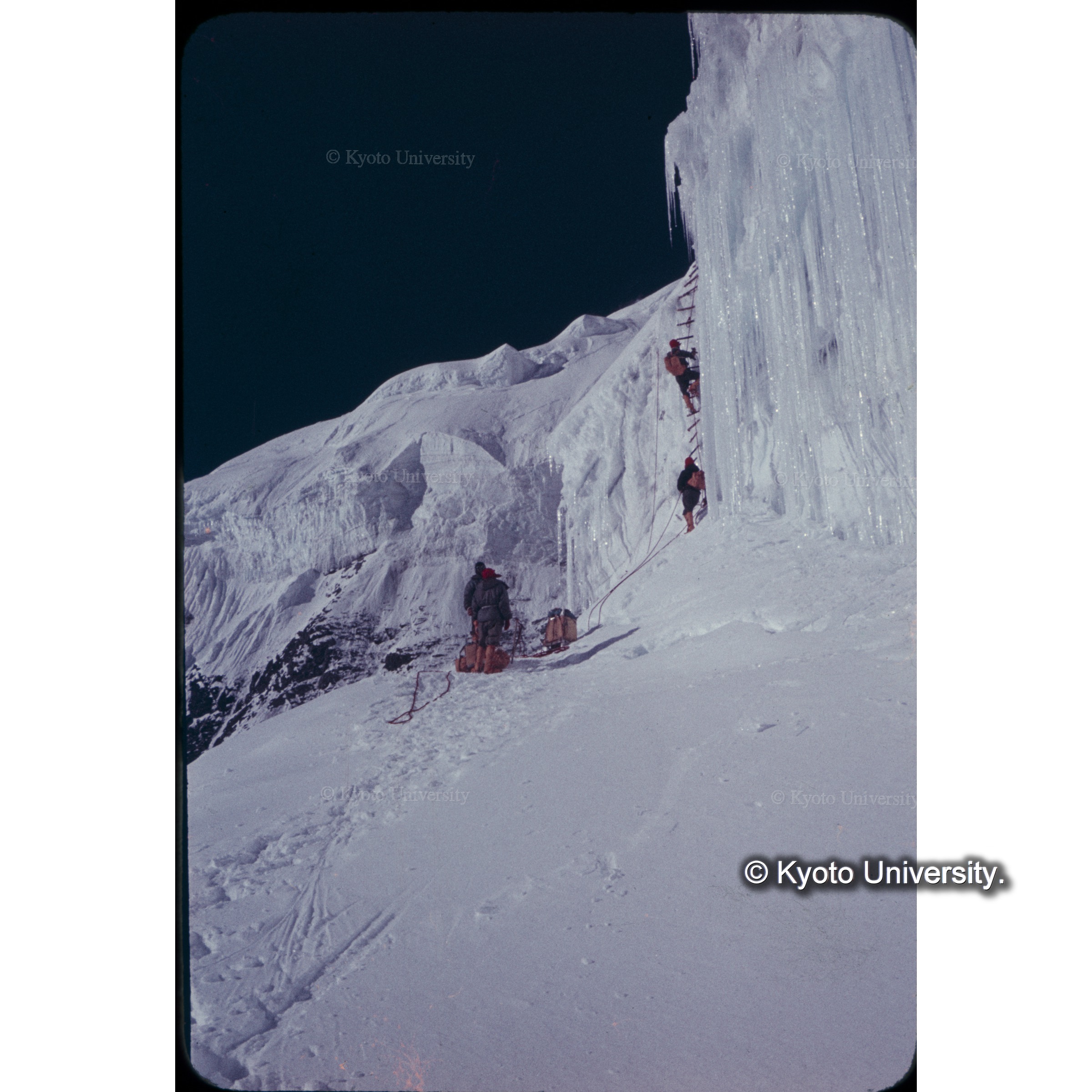 縄ばしごを登る (1)