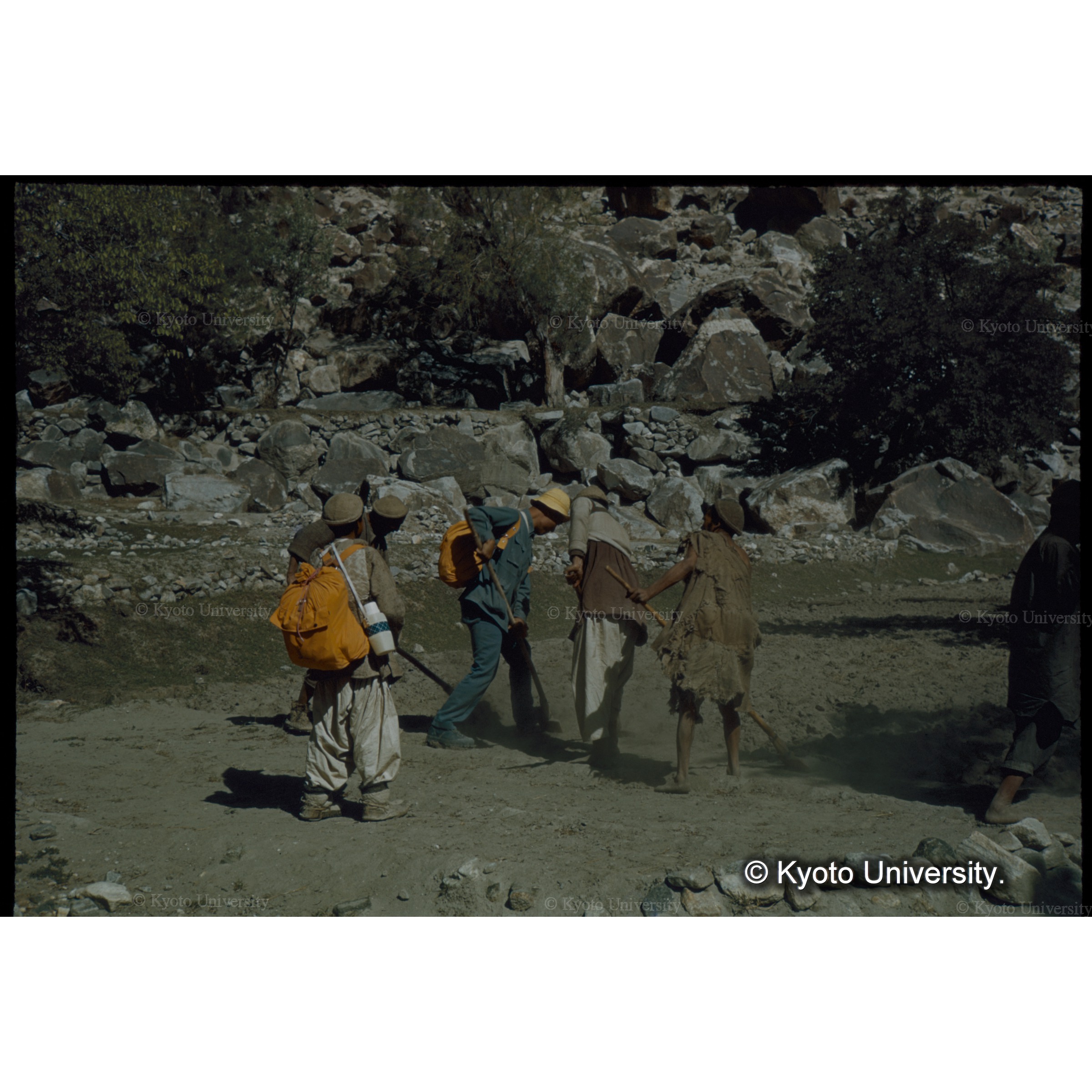 畑の準備　長い踏みすきをためす谷 (1)