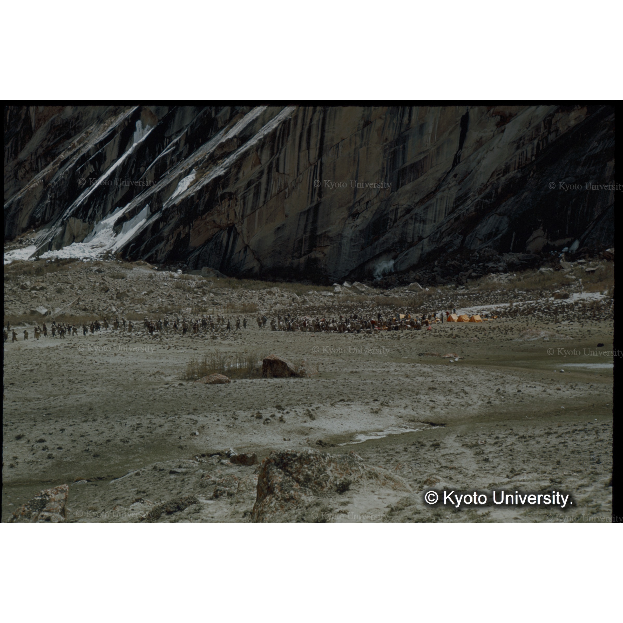 ひろびろとした　ゴマ村の放牧地 (1)