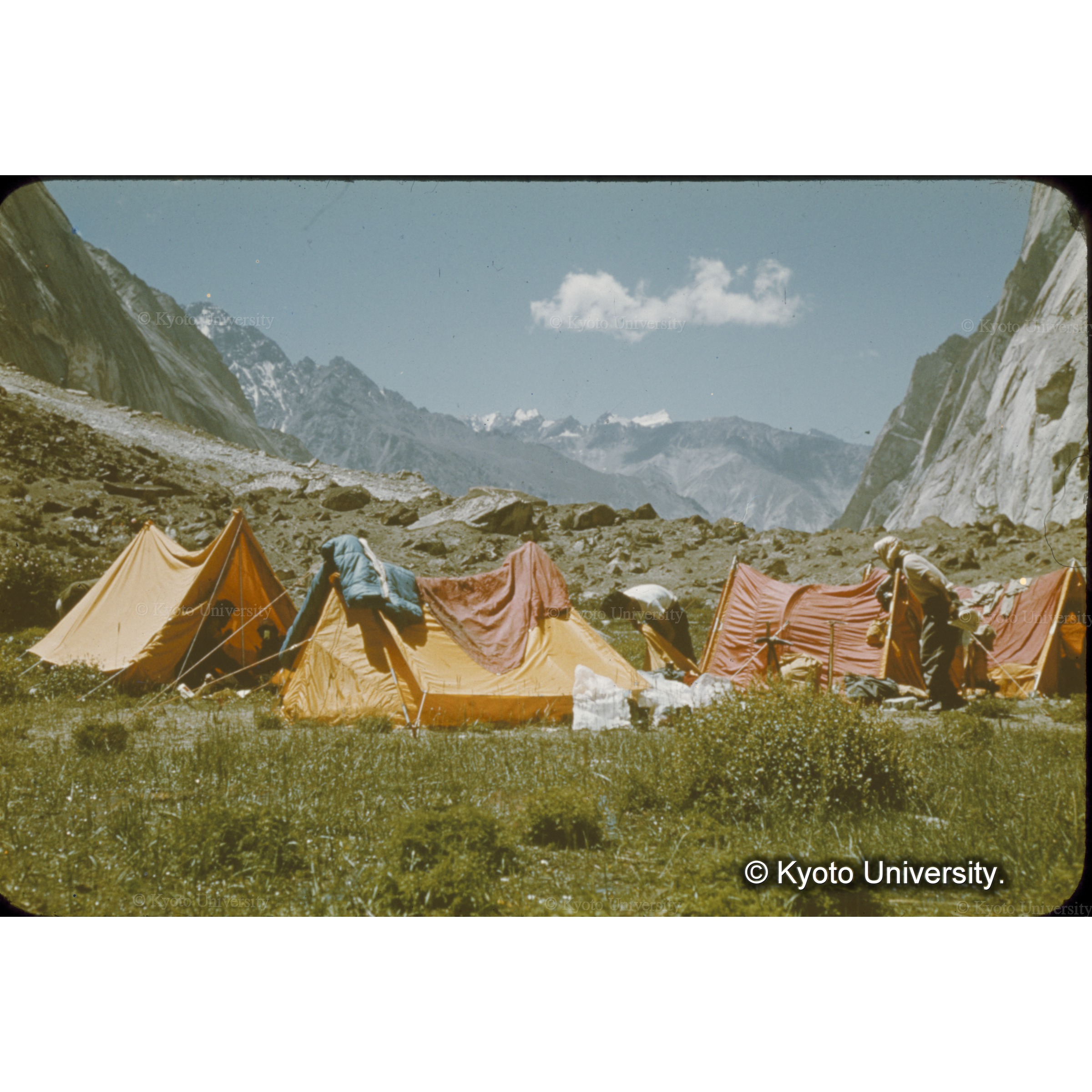 ビラフォンド峠をこえて二カ月ぶりに戻ったギャリ　緑が目にしみた (1)