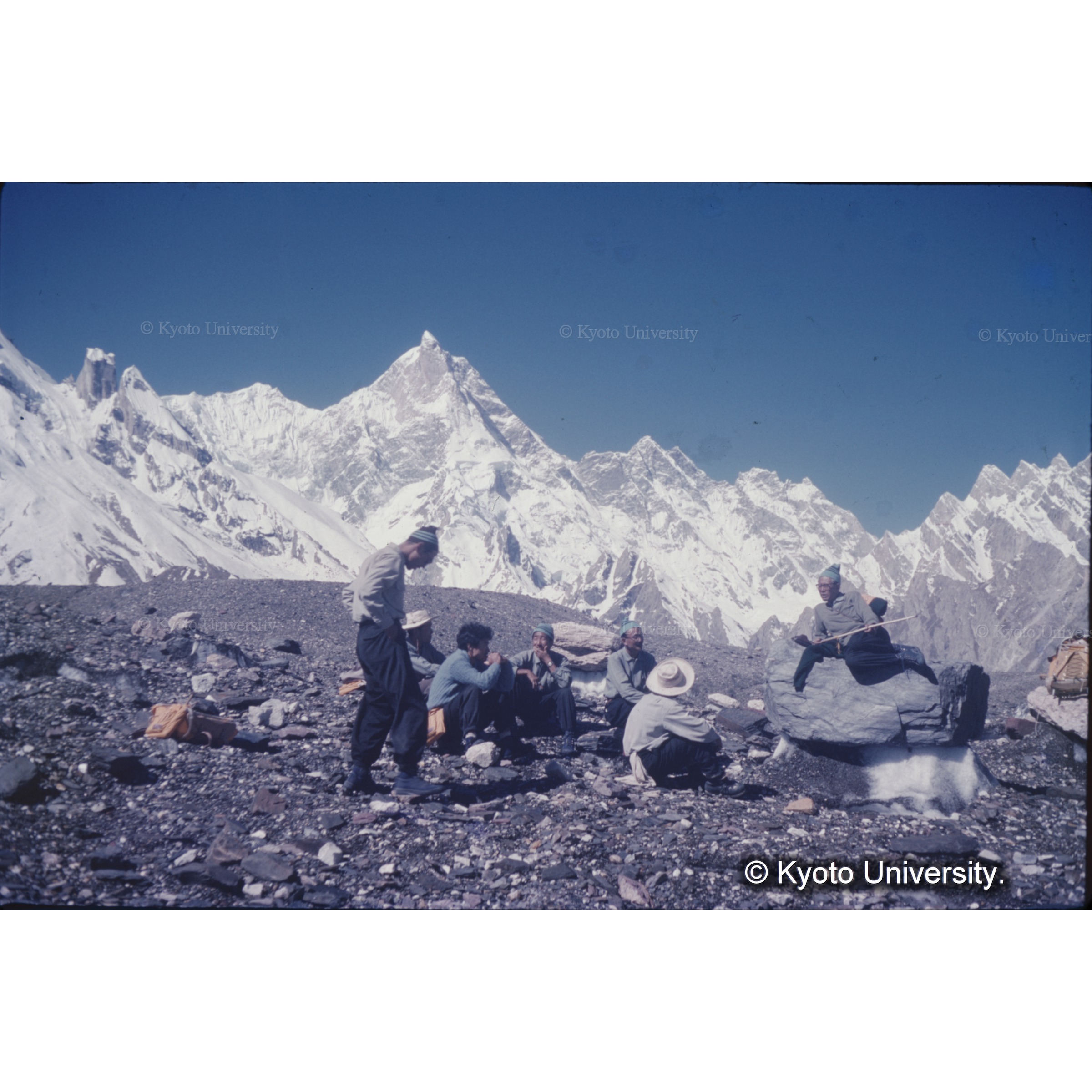 マッシャーブルム (1)