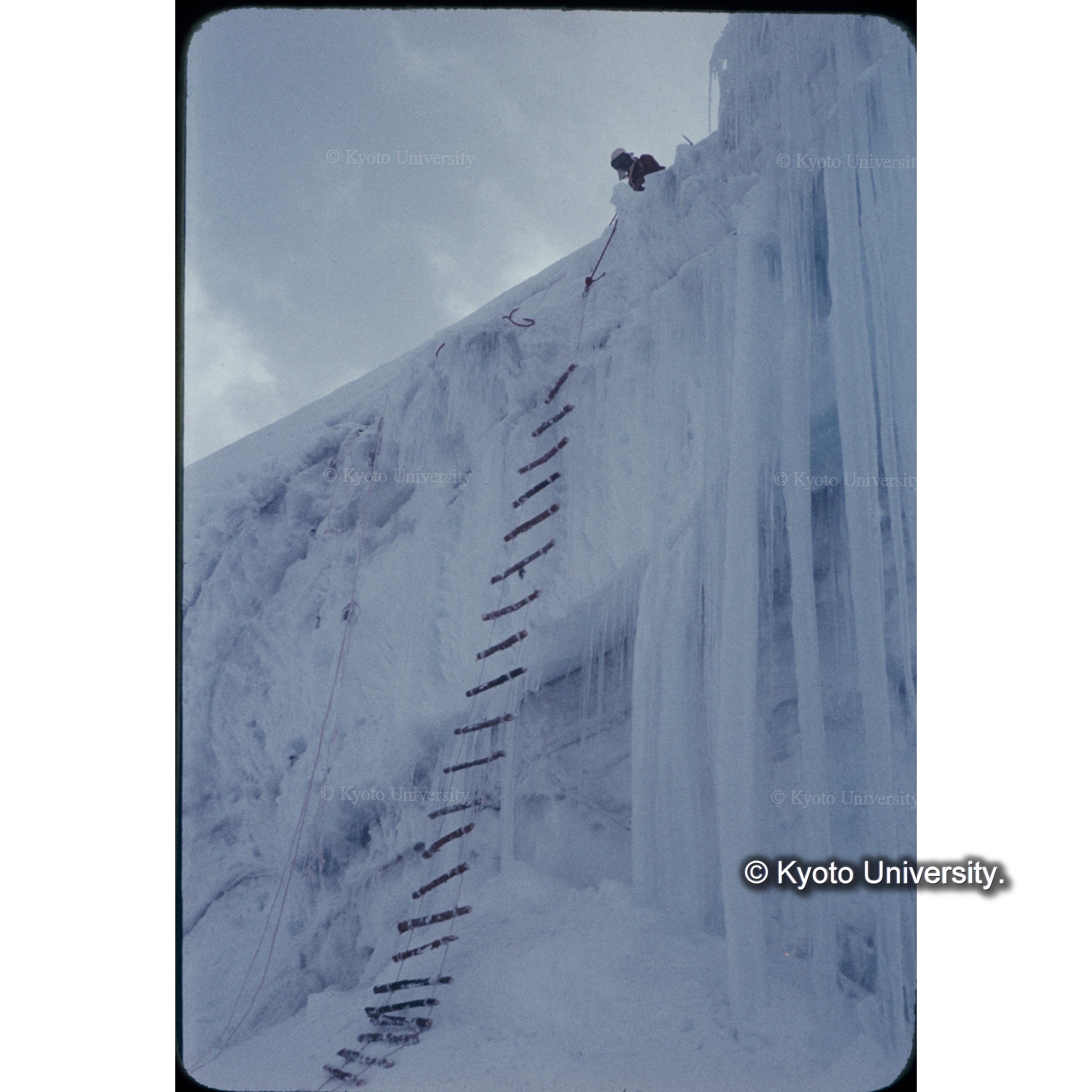 Ｃ４の氷壁に縄ばしごを吊るす (1)