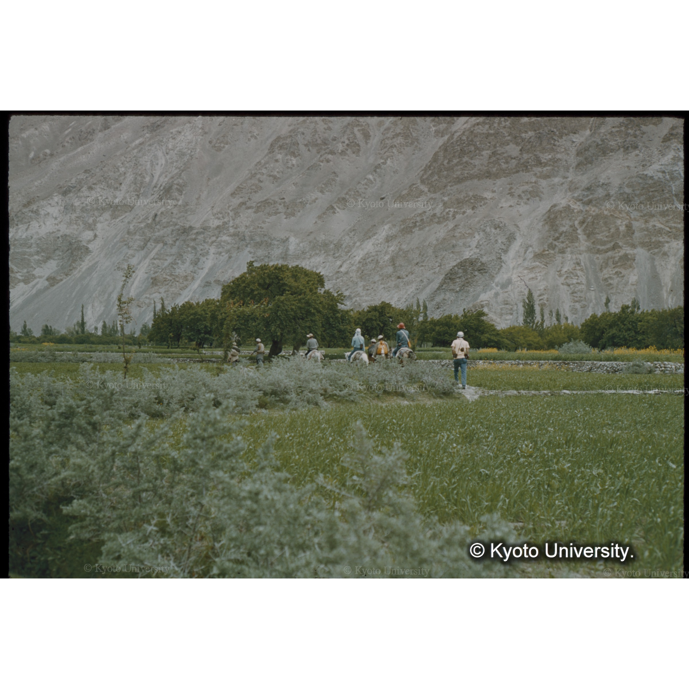 村道をゆく騎馬組、四手井、加藤、前小屋 (1)