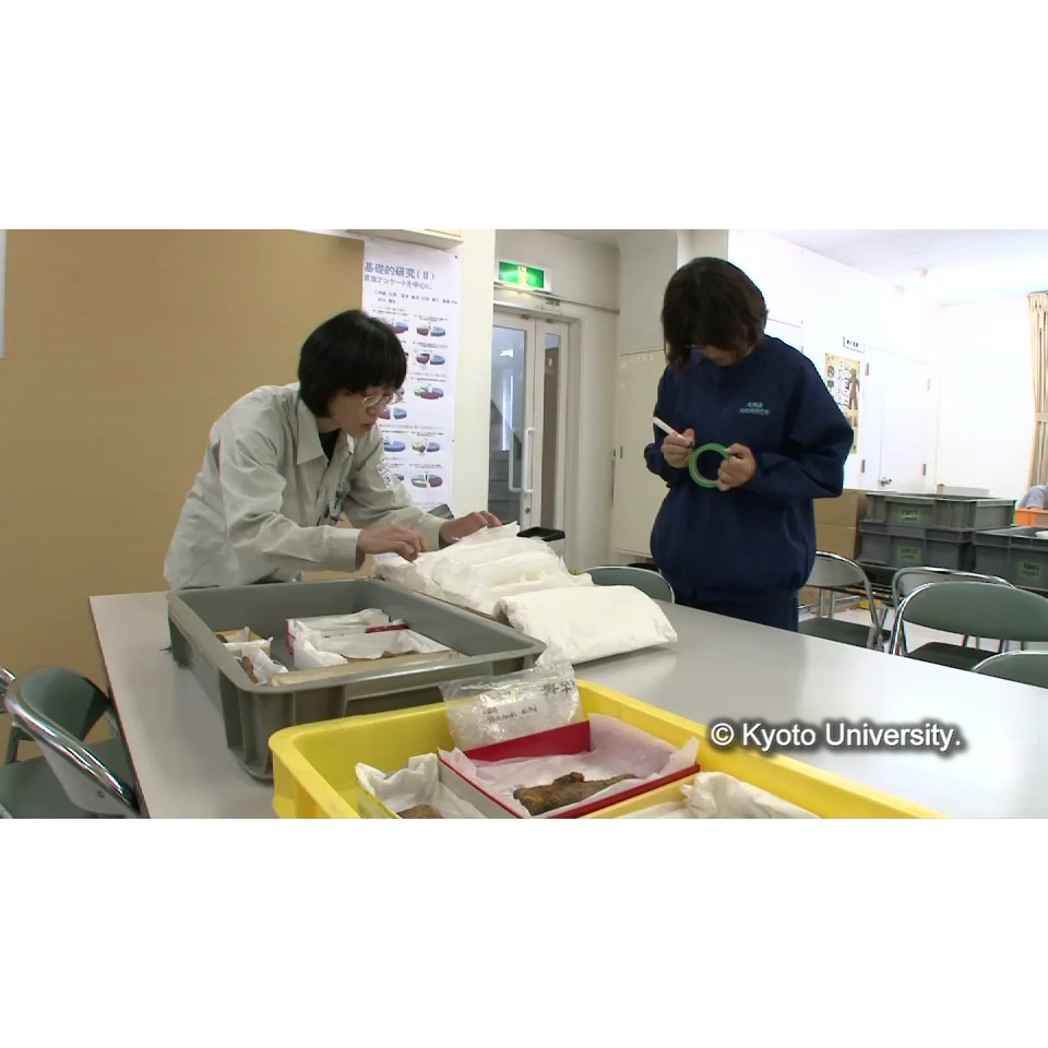 点検・箱出し (1)