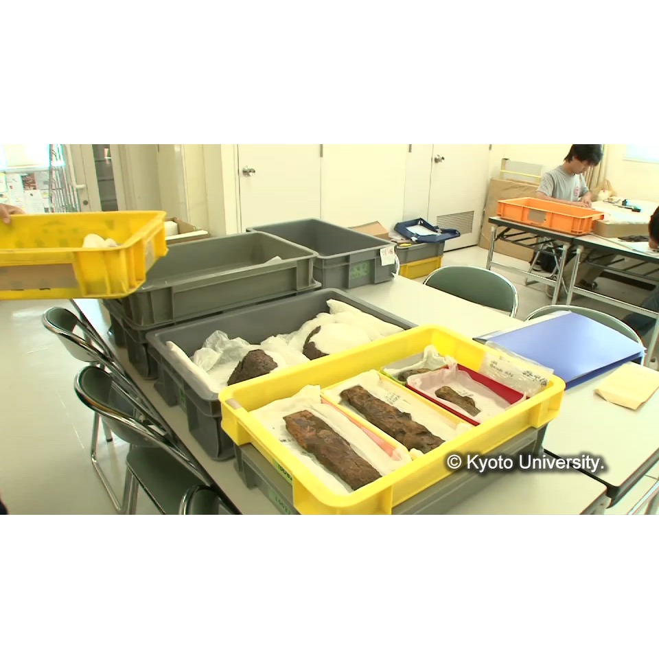 点検・箱出し (1)