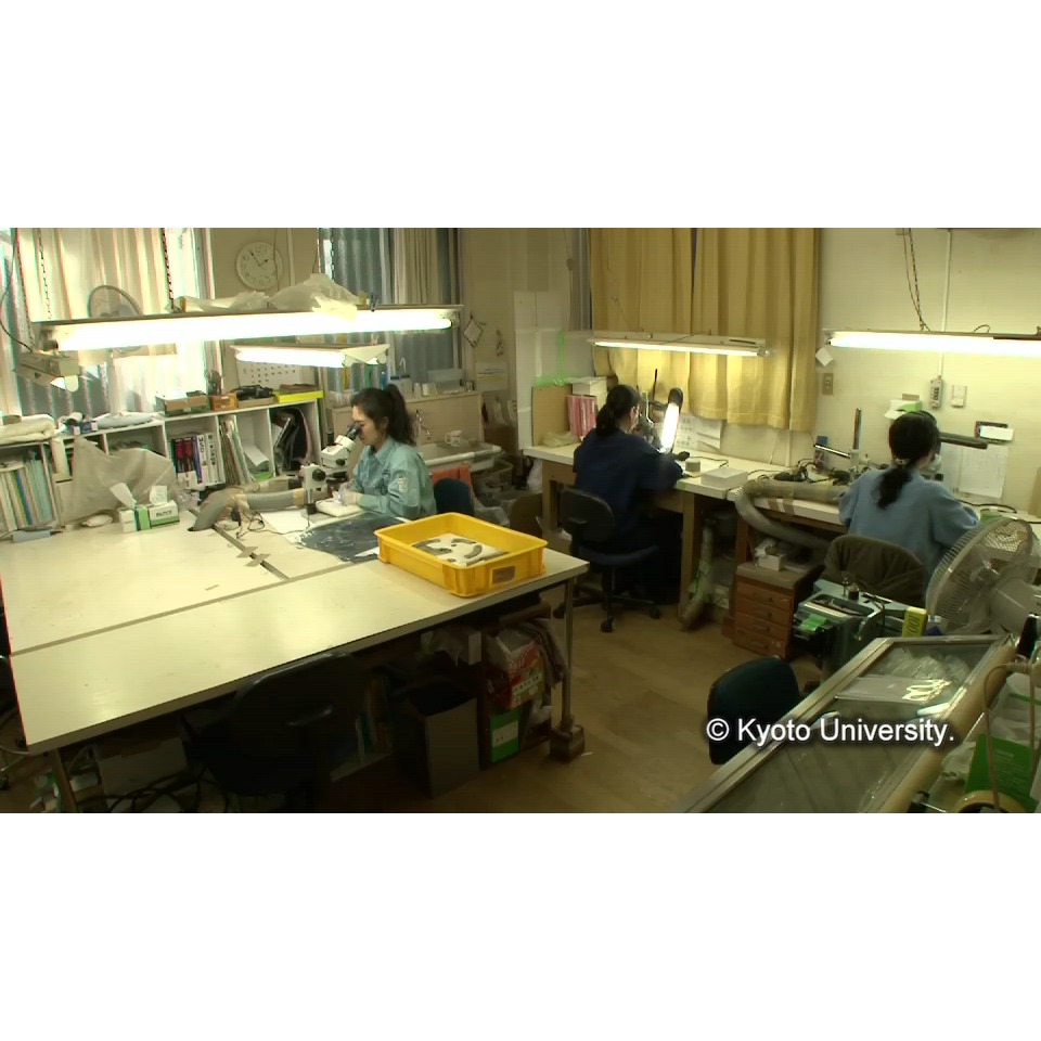 樹脂抜き(解体) (1)